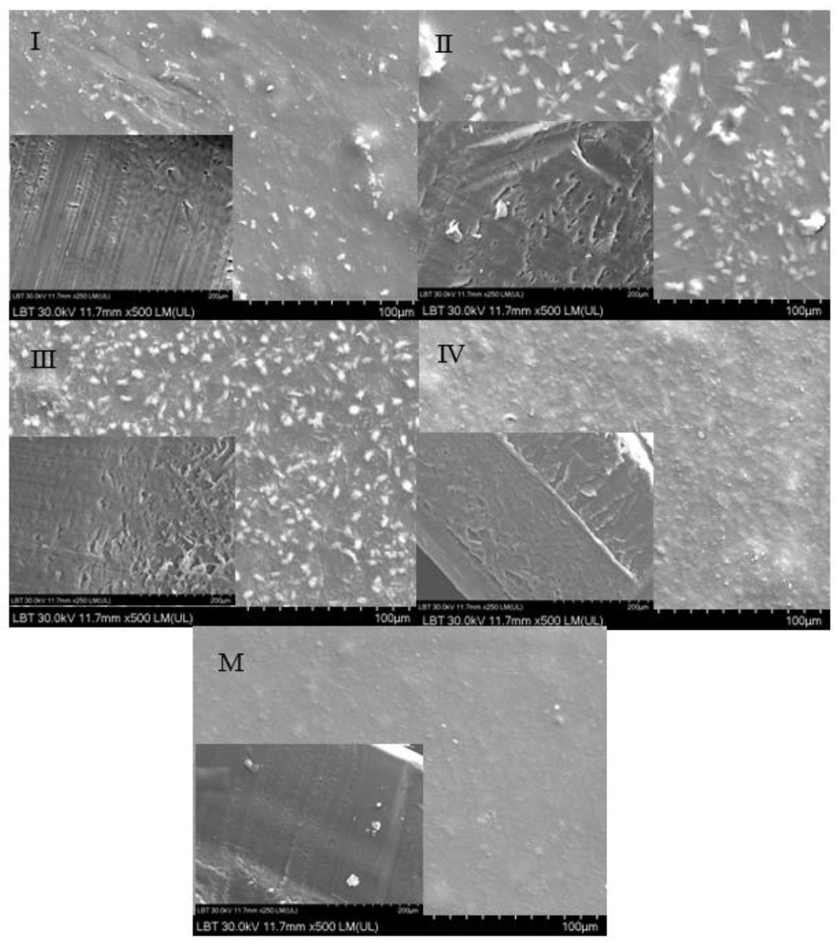 Gels 09 00298 g006 Gels 09 00298 g006