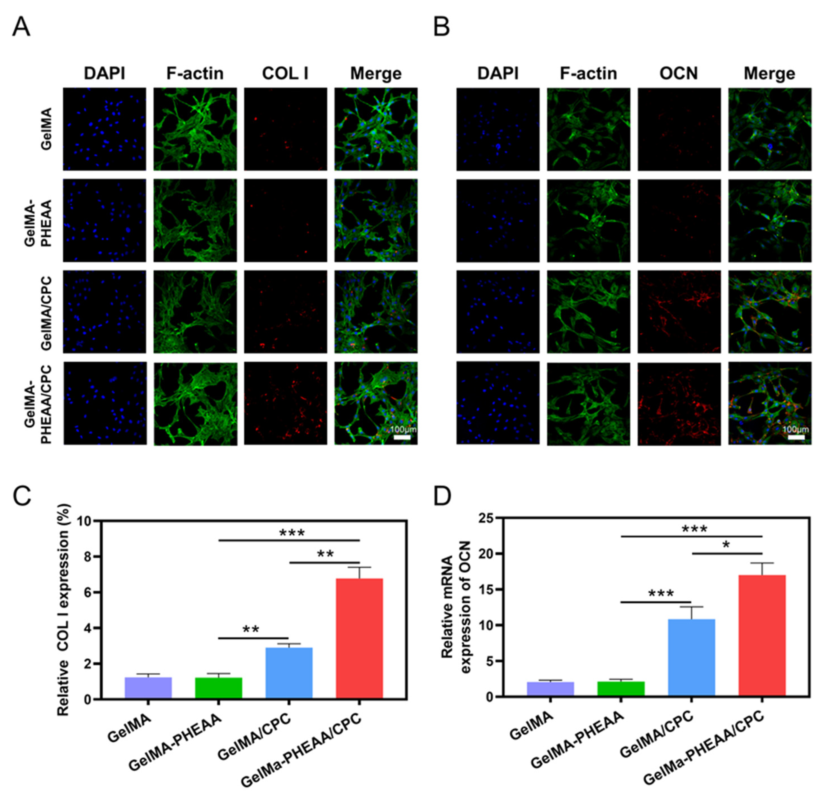 Gels 09 00302 g006 Gels 09 00302 g006