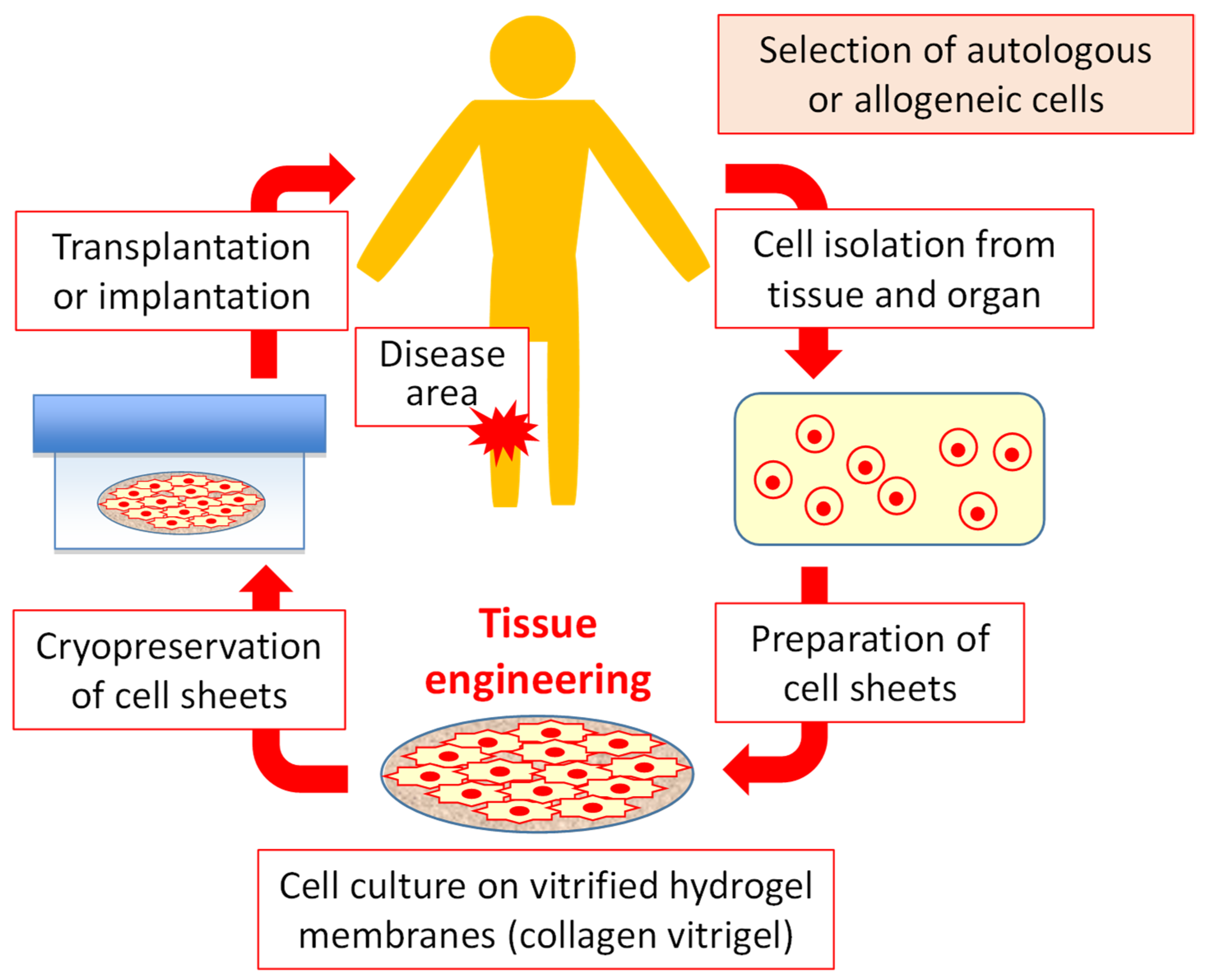 Gels 09 00321 g001 Gels 09 00321 g001