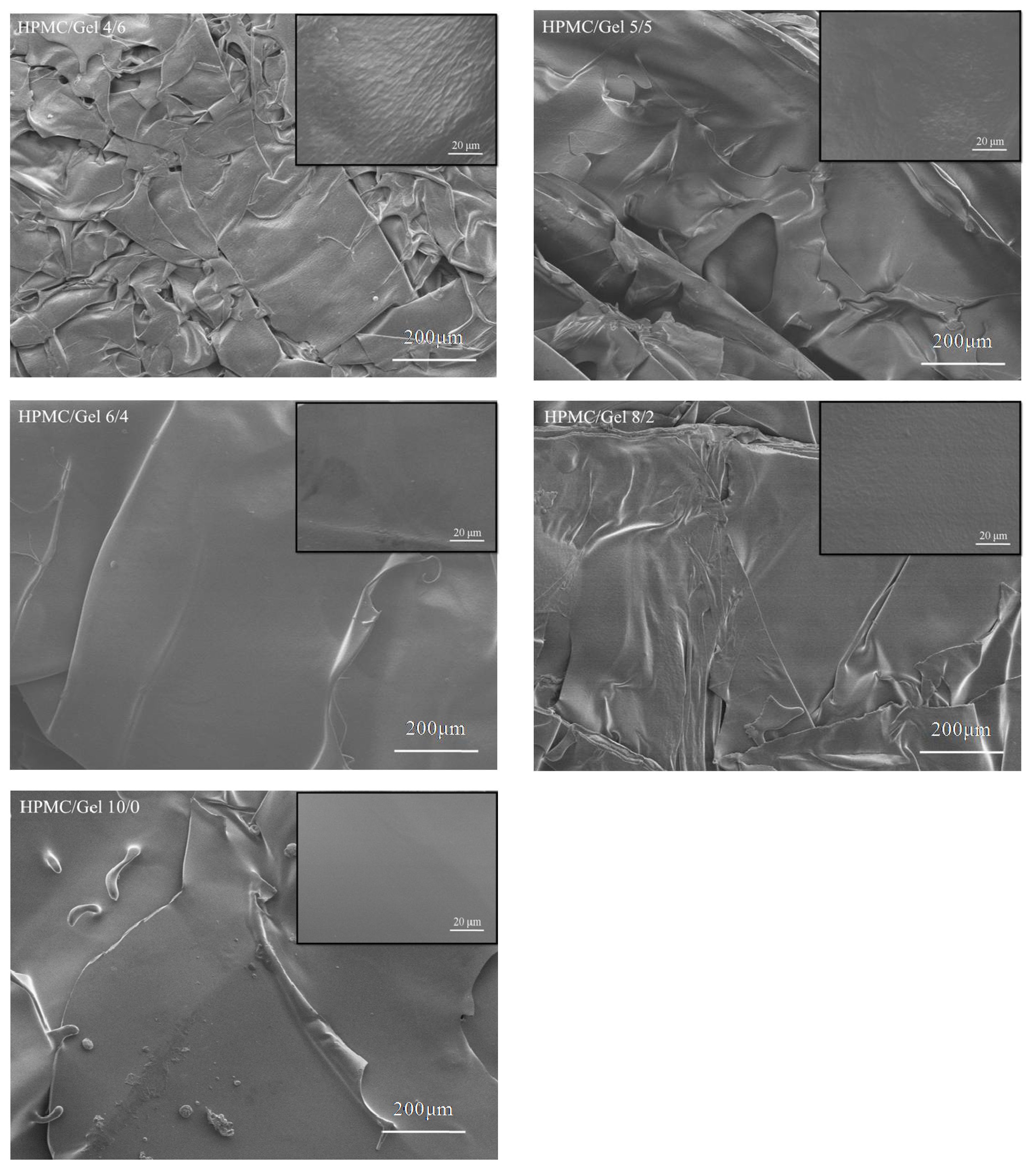 Characterization of a novel hydroxypropyl methylcellulose (HPMC