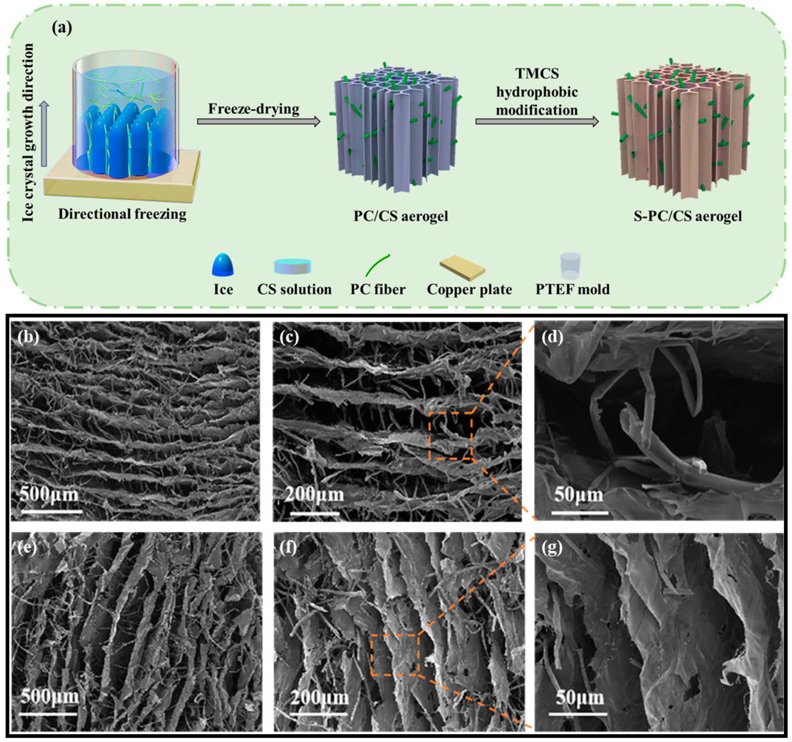 Gels 09 00346 g002 Gels 09 00346 g002