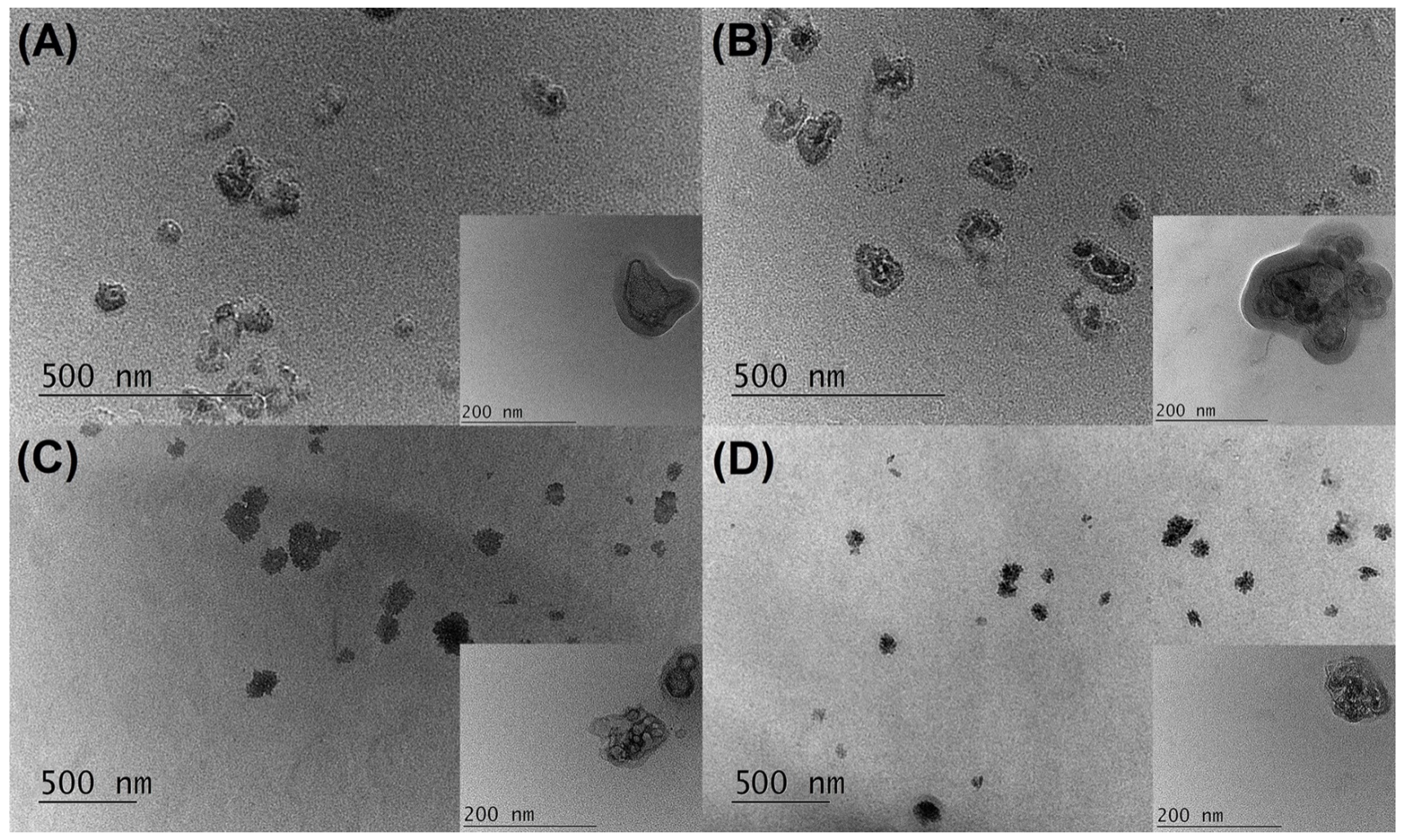 Gels 09 00360 g004 Gels 09 00360 g004