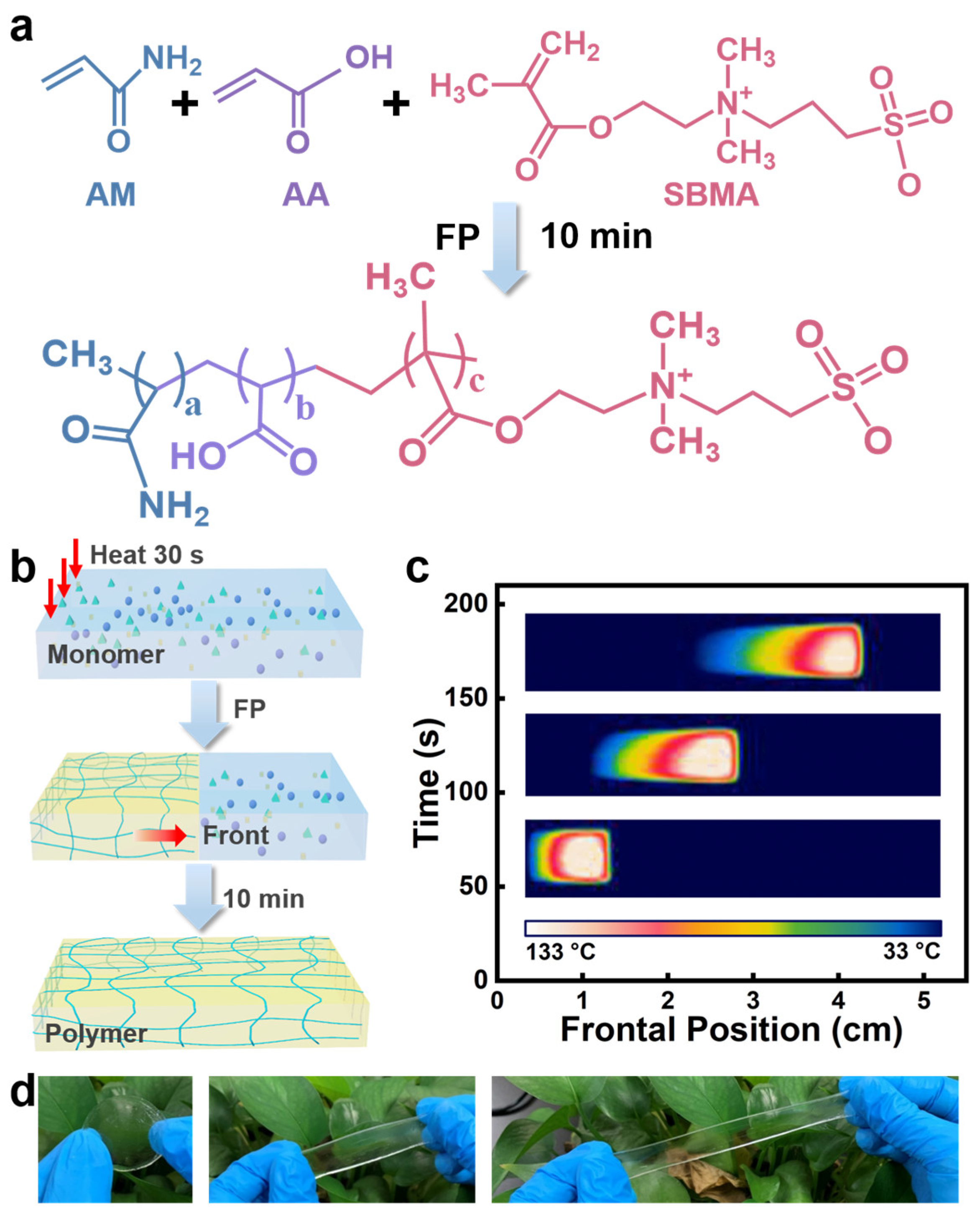 Gels 09 00380 g001 Gels 09 00380 g001
