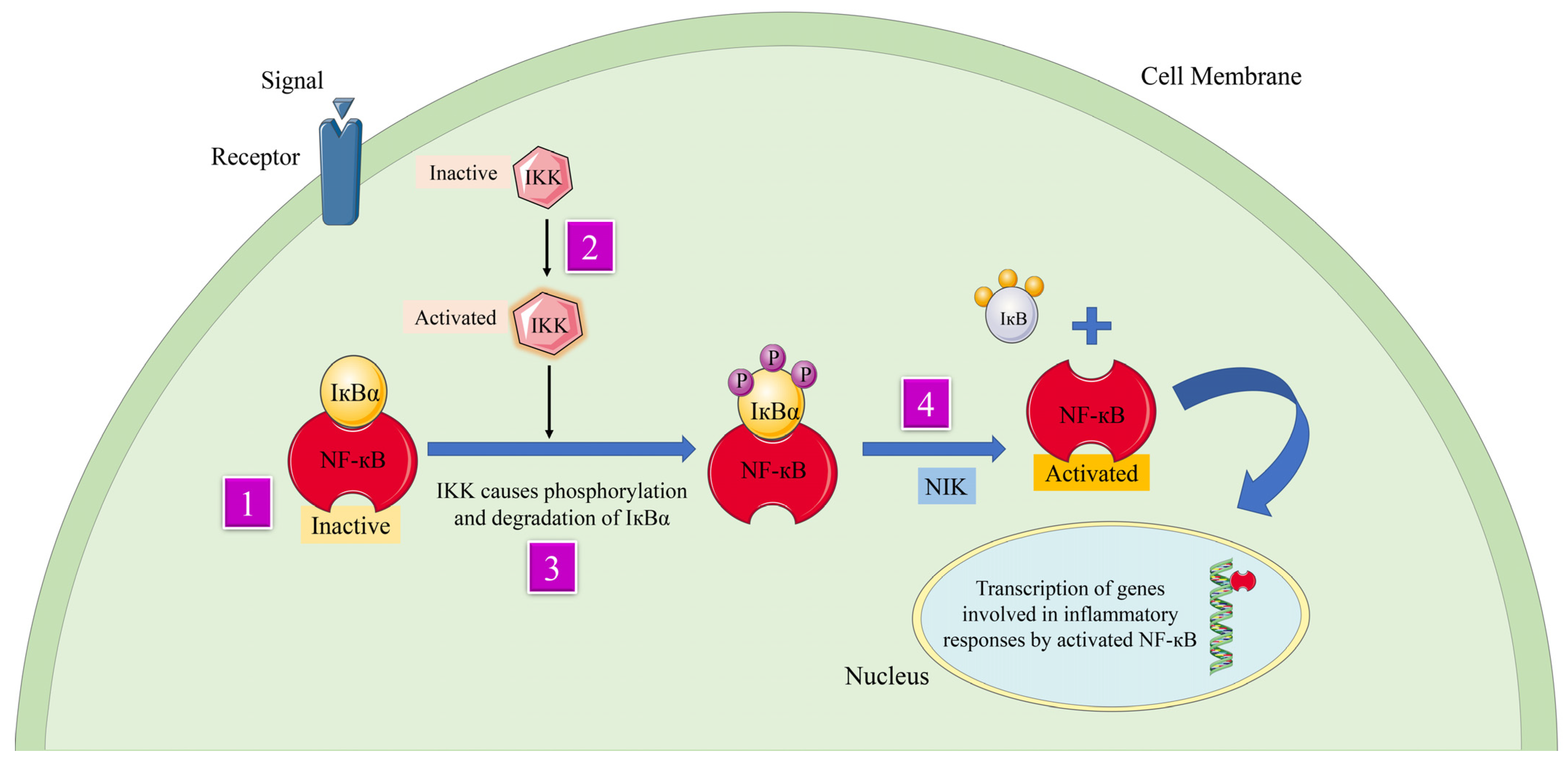 Gels 09 00394 g001 Gels 09 00394 g001