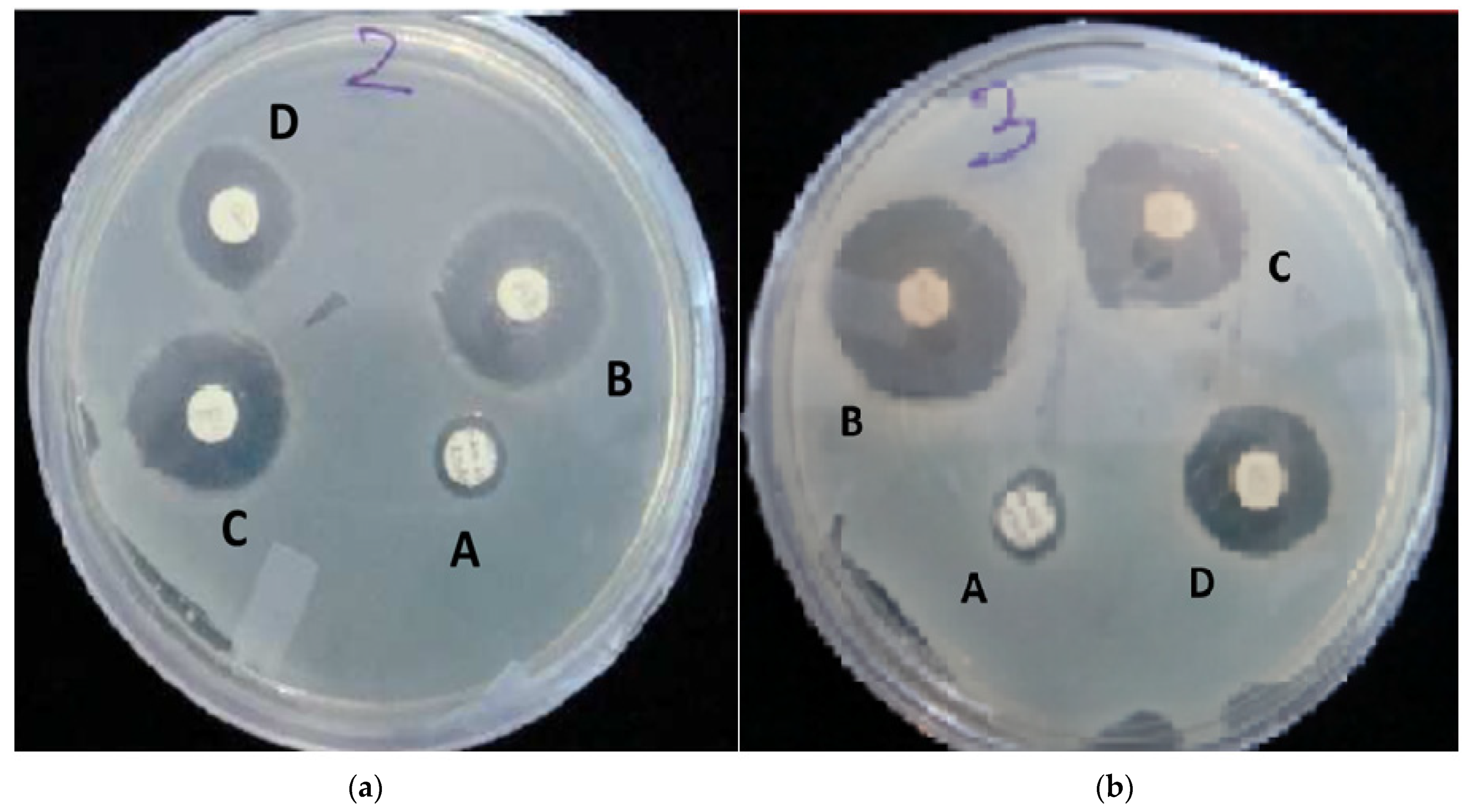 Gels 09 00394 g007 Gels 09 00394 g007