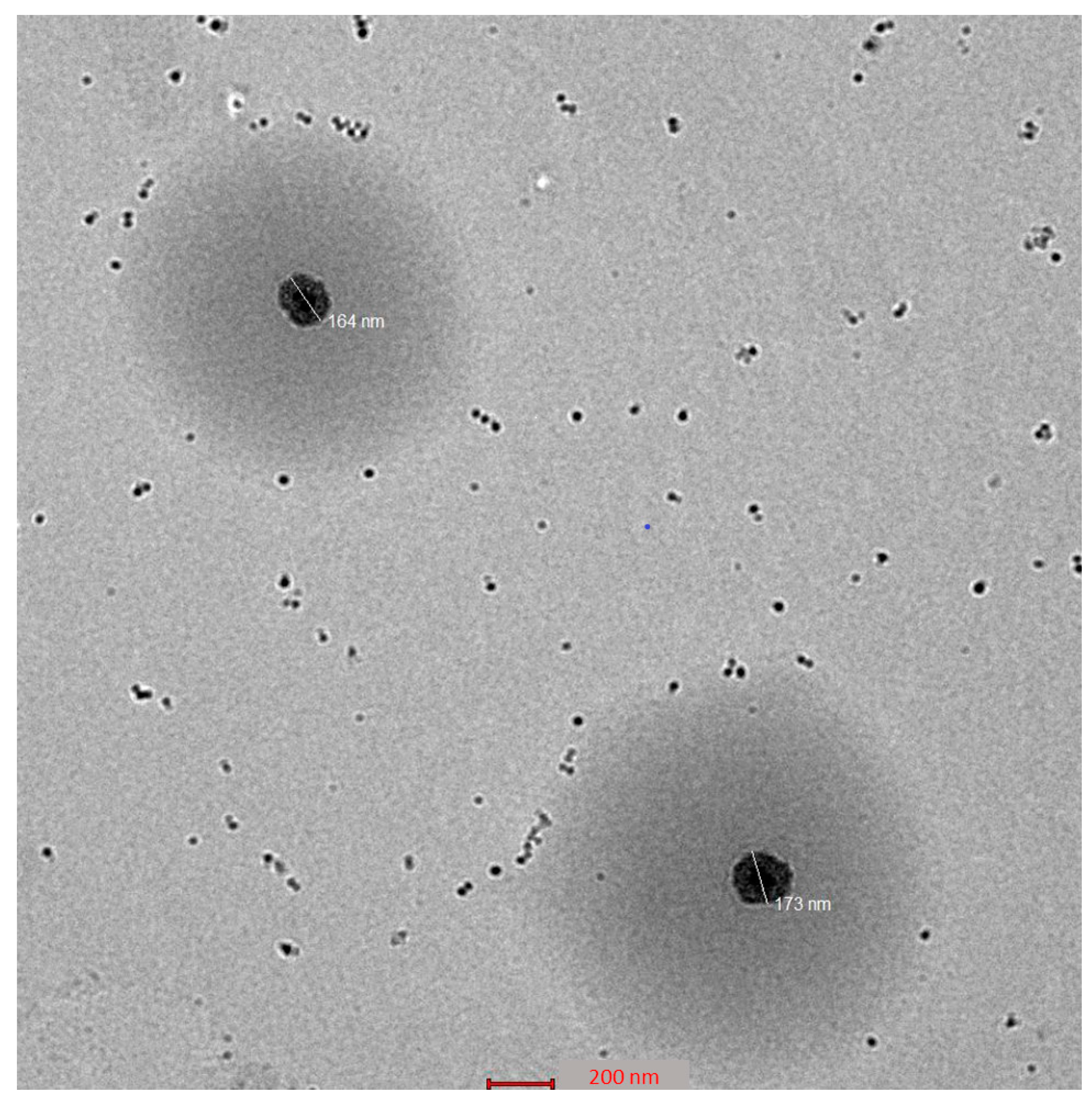 Gels 09 00401 g004 Gels 09 00401 g004