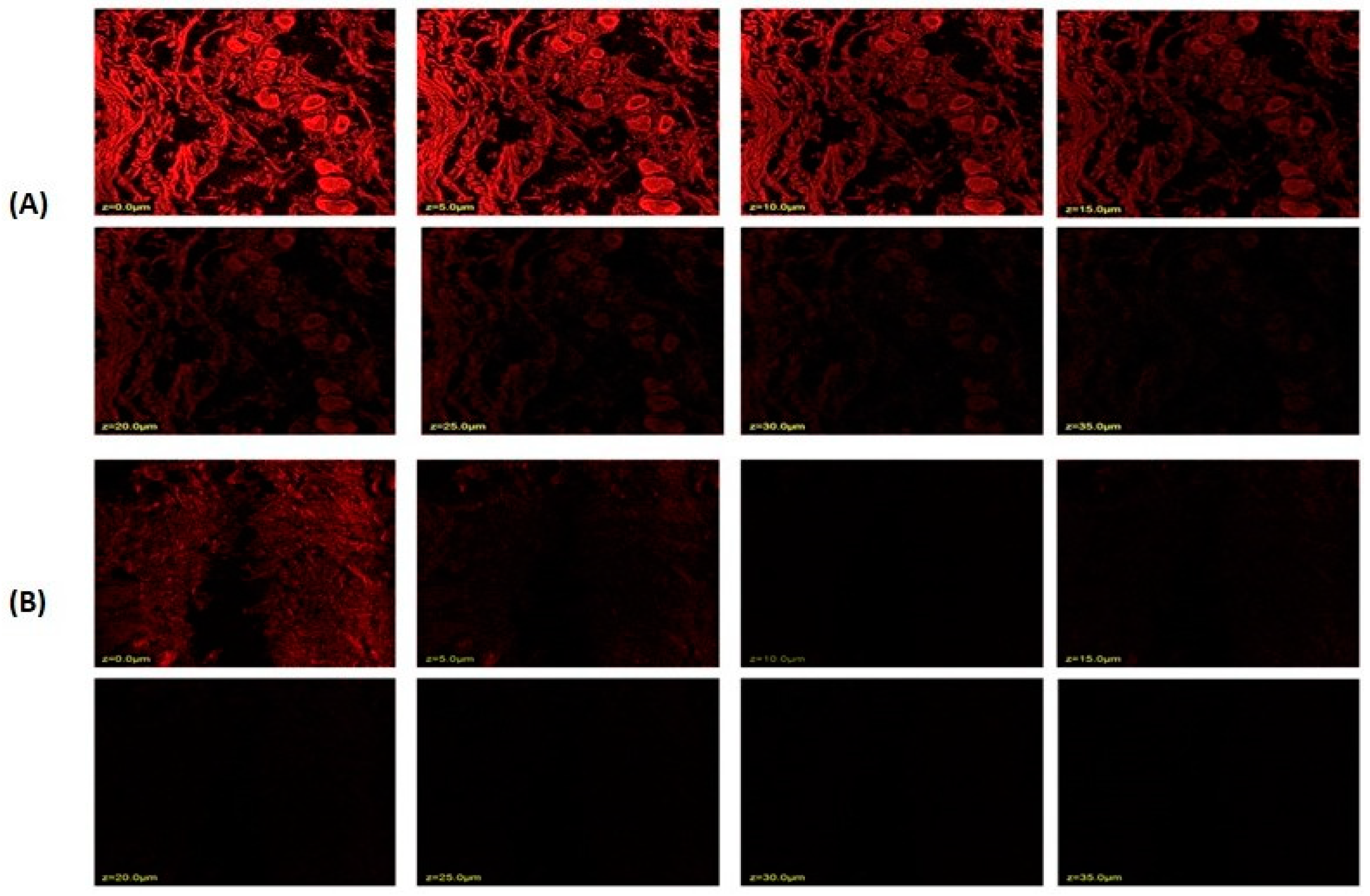 Gels 09 00401 g007 Gels 09 00401 g007