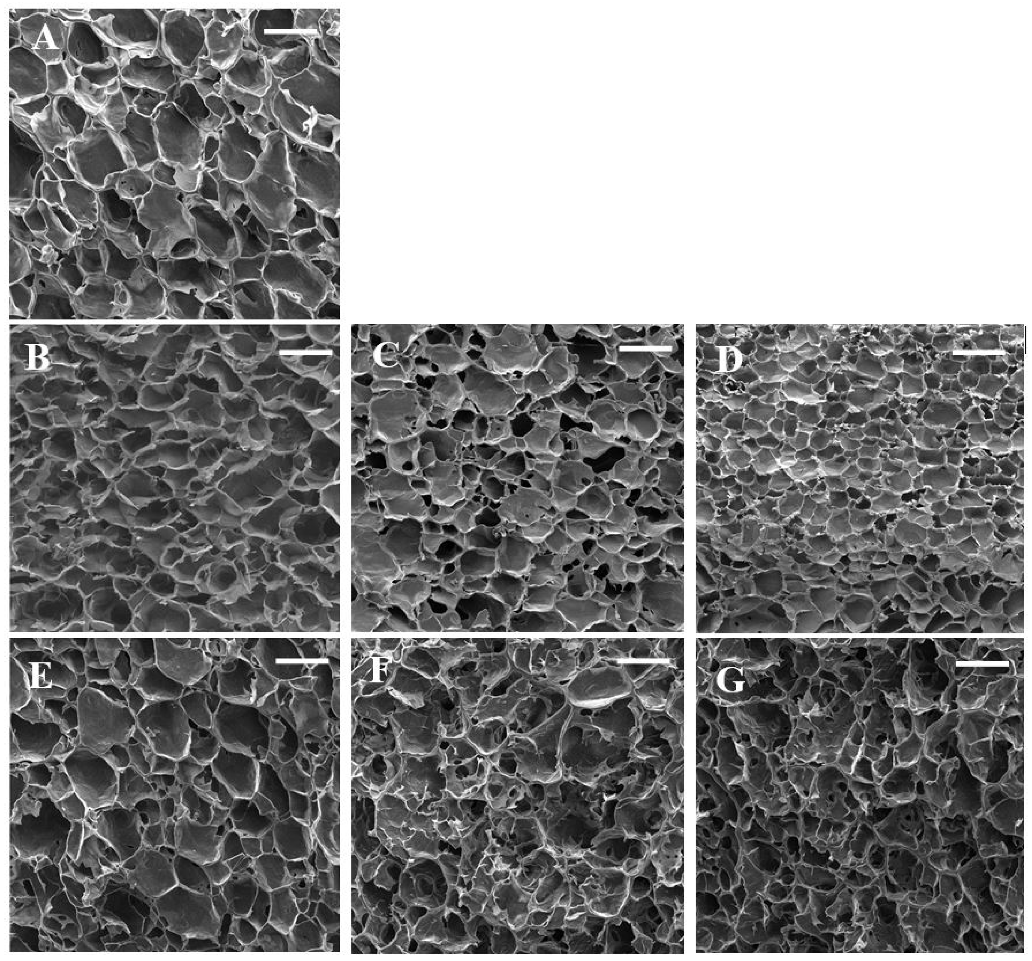 Gels 09 00460 g002 Gels 09 00460 g002