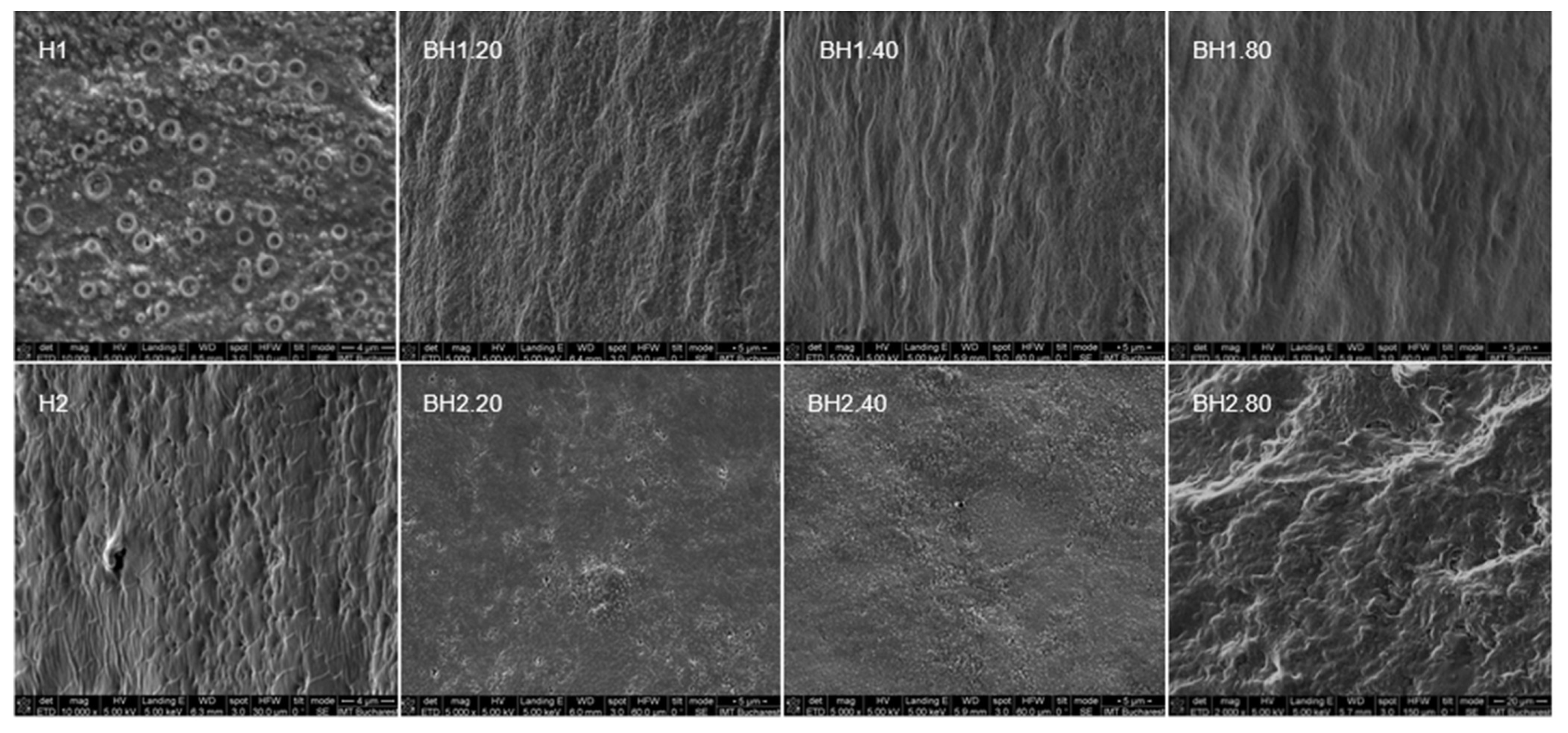 Gels 09 00476 g012 Gels 09 00476 g012