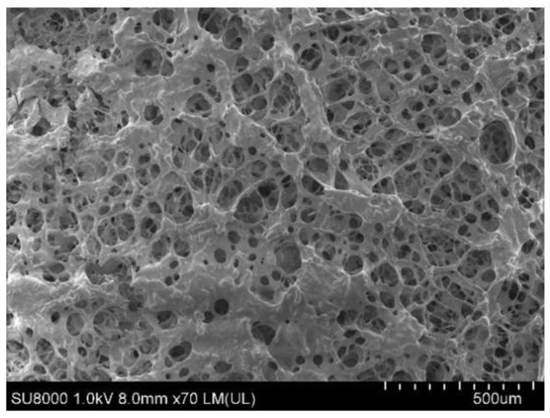 Gels 09 00479 g005 Gels 09 00479 g005