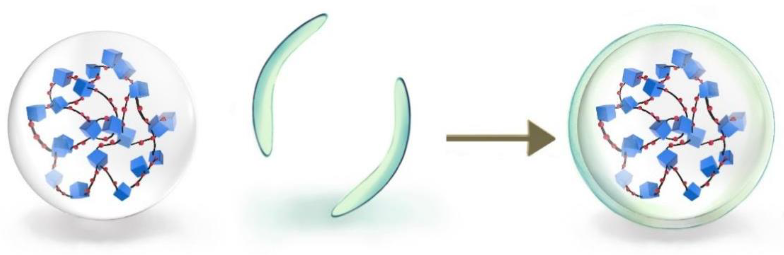 Gels 09 00479 g007 Gels 09 00479 g007