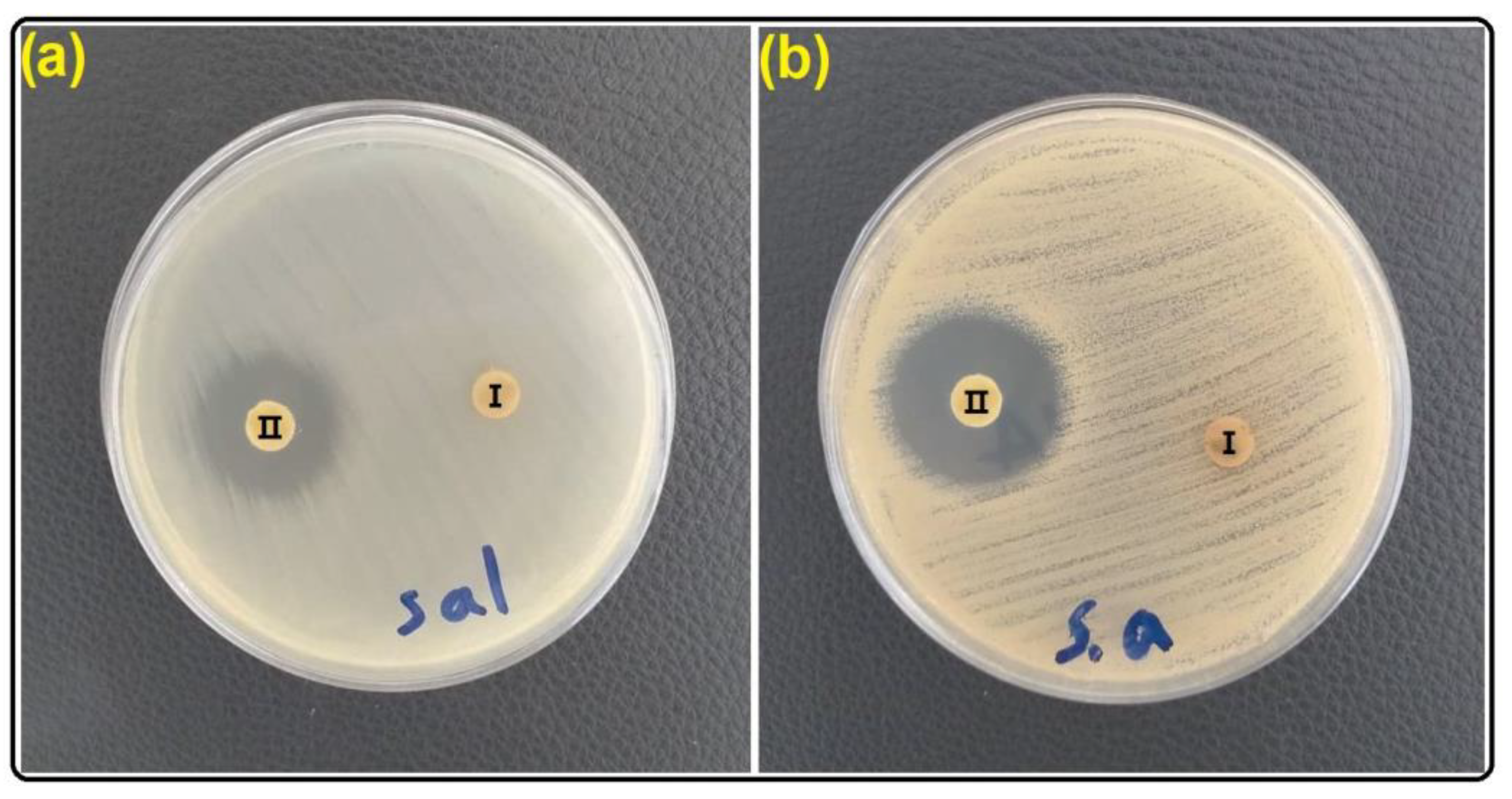 Gels 09 00490 g008 Gels 09 00490 g008