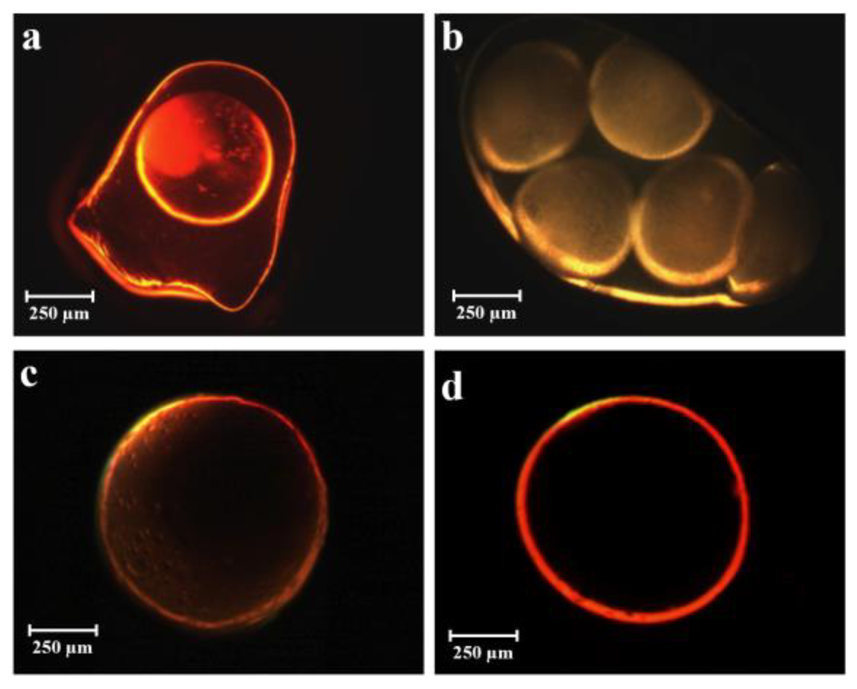 Gels 09 00492 g001 Gels 09 00492 g001