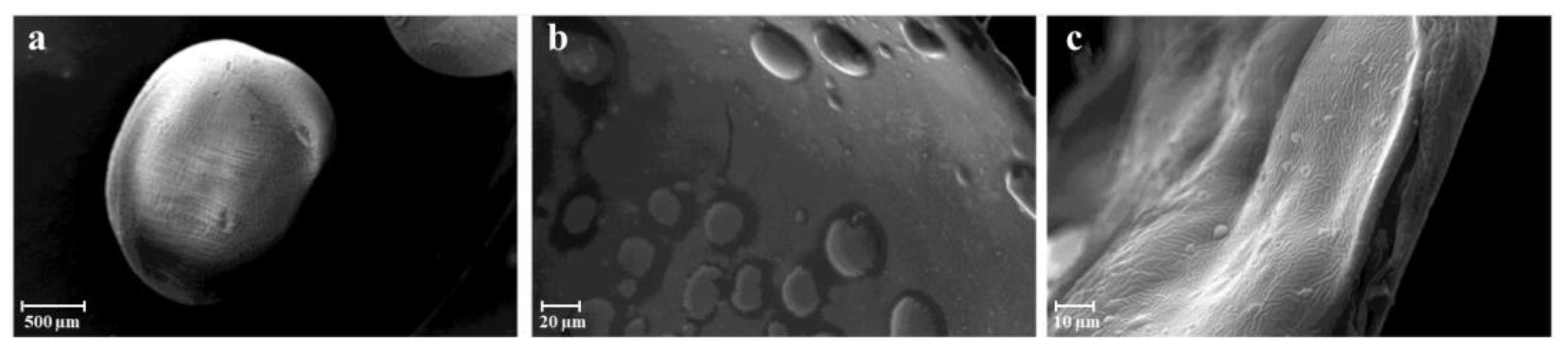 Gels 09 00492 g002 Gels 09 00492 g002