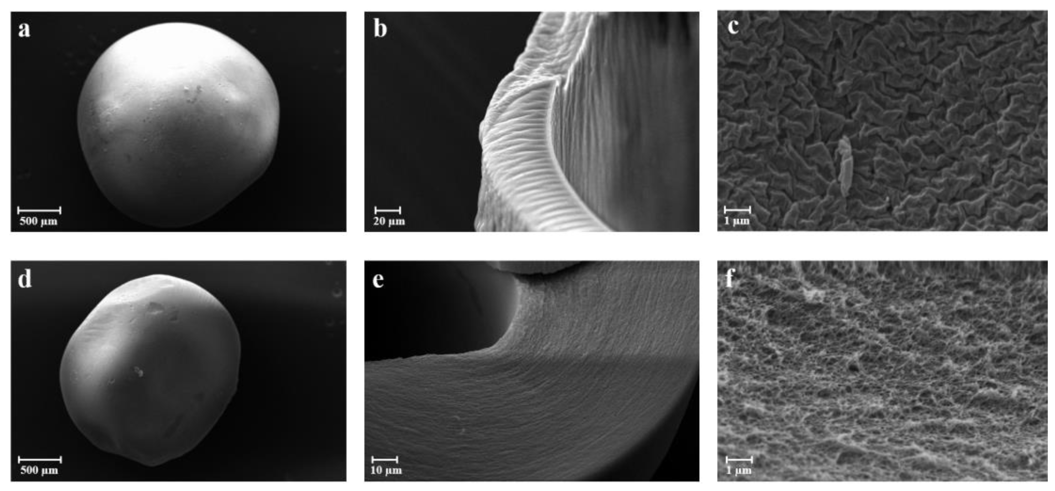 Gels 09 00492 g003 Gels 09 00492 g003