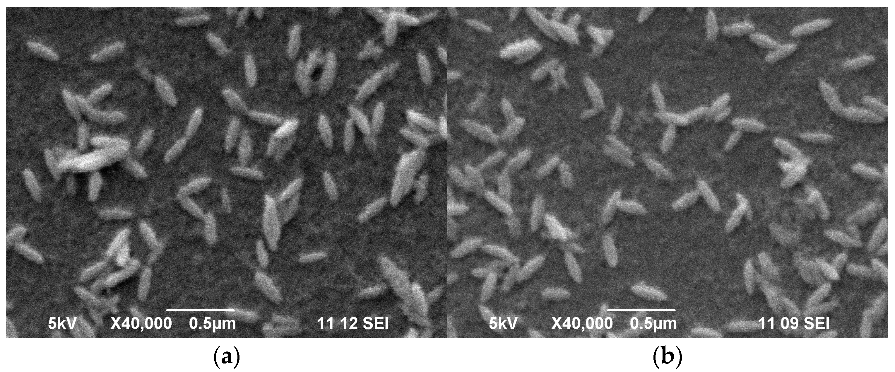 Gels 09 00493 g009 Gels 09 00493 g009