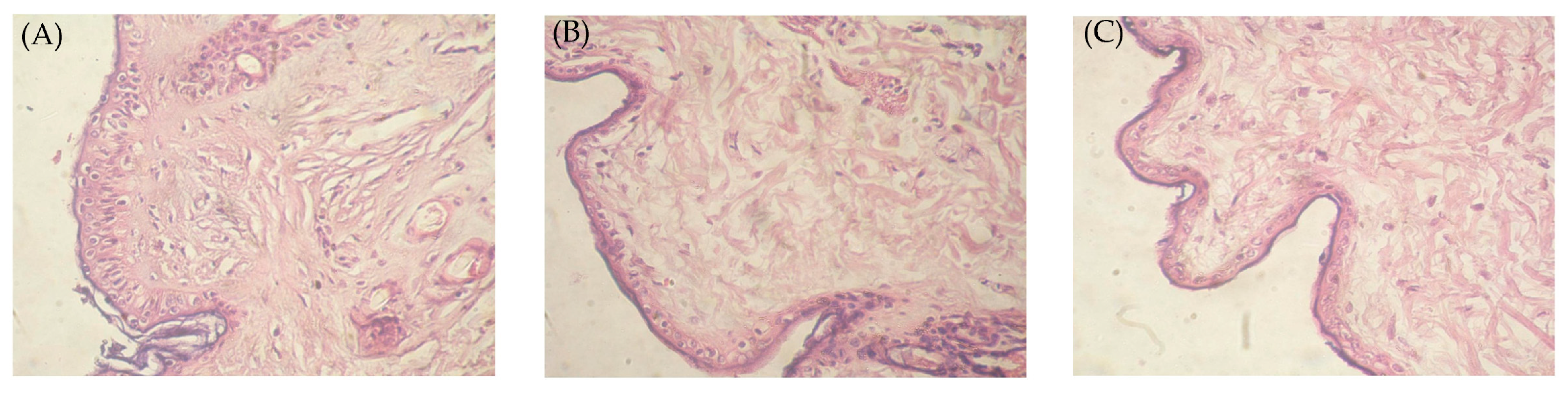 Gels 09 00494 g009 Gels 09 00494 g009