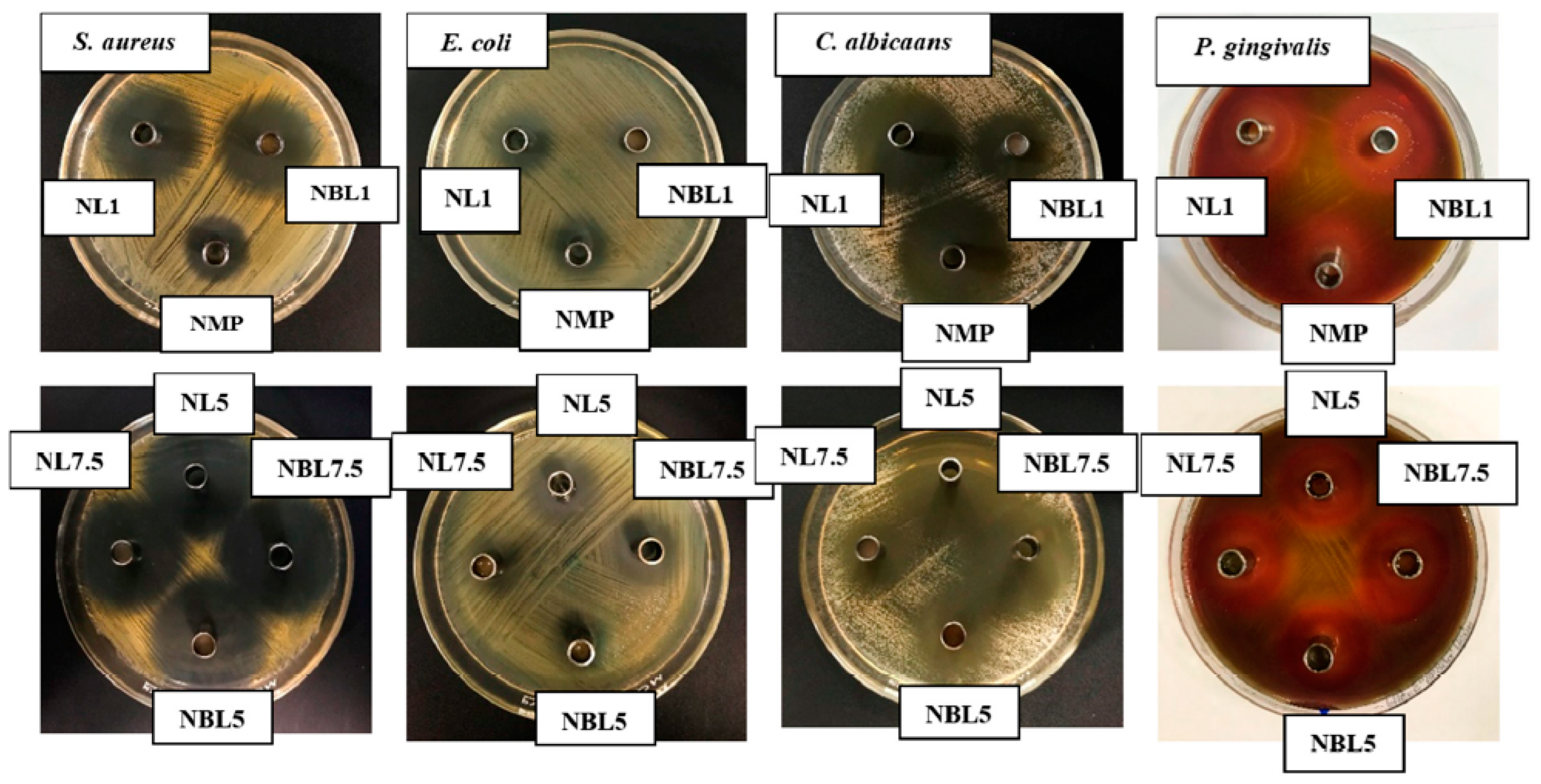 Gels 09 00495 g007 Gels 09 00495 g007