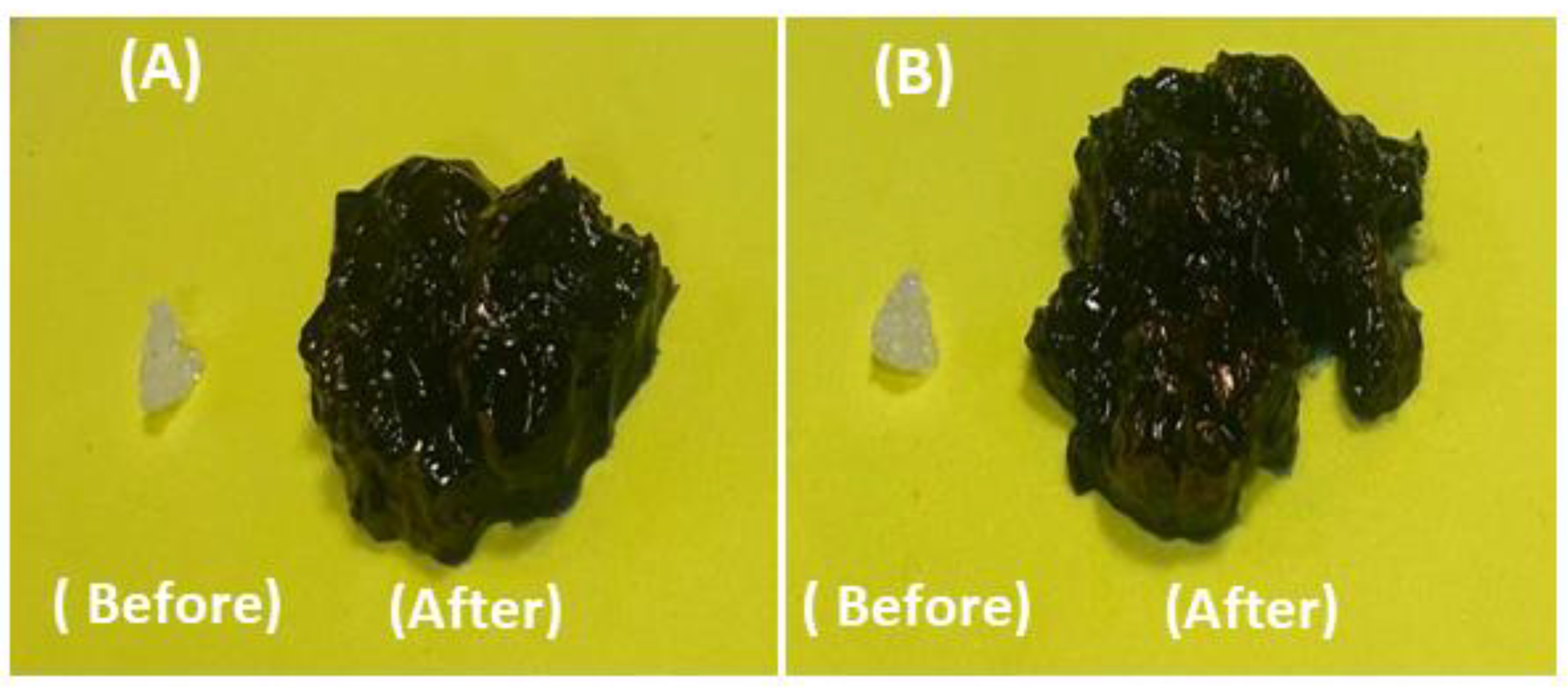 Gels 09 00499 g014 Gels 09 00499 g014