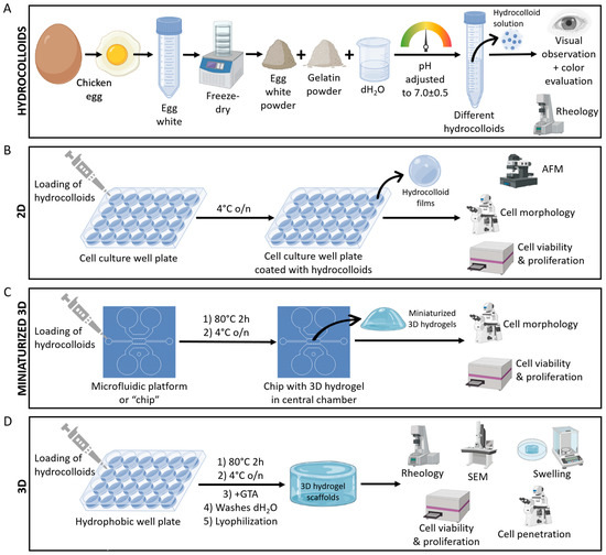 https://www.mdpi.com/gels/gels-09-00505/article_deploy/html/images/gels-09-00505-g002-550.jpg