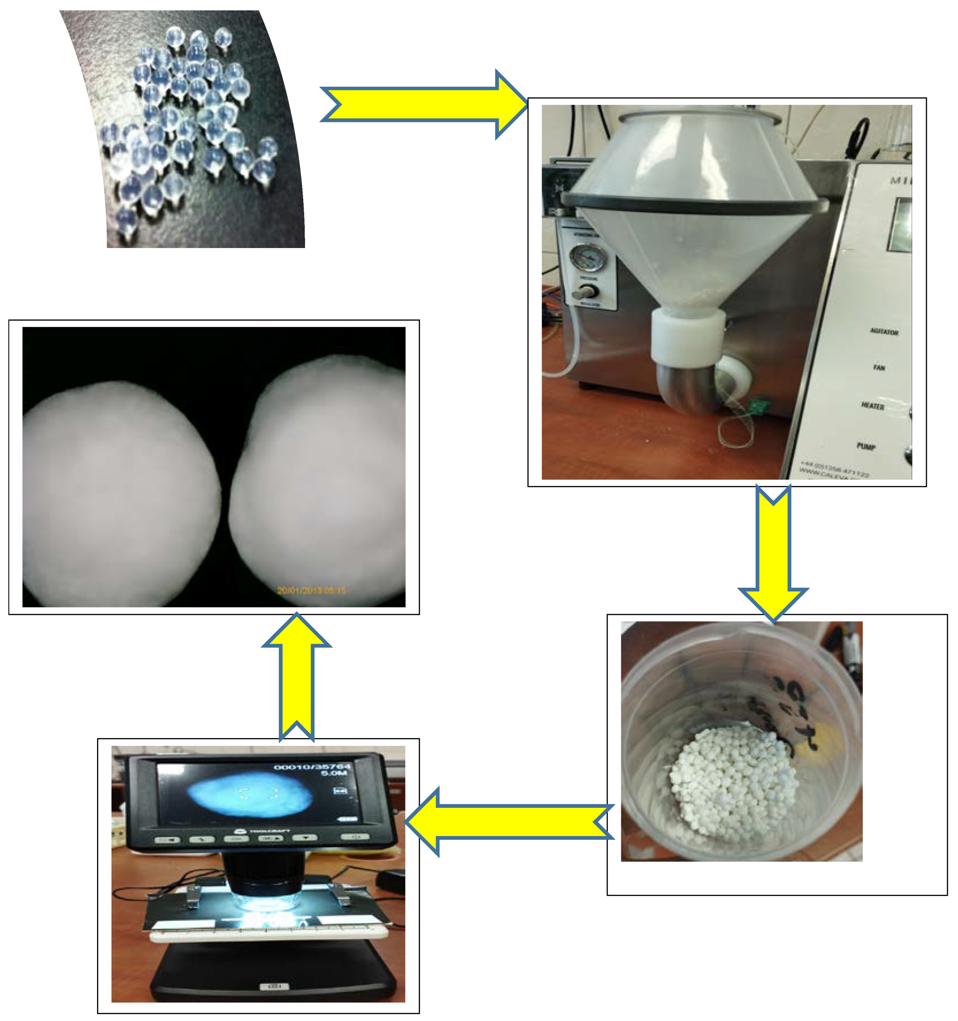 Gels 09 00526 g008 Gels 09 00526 g008