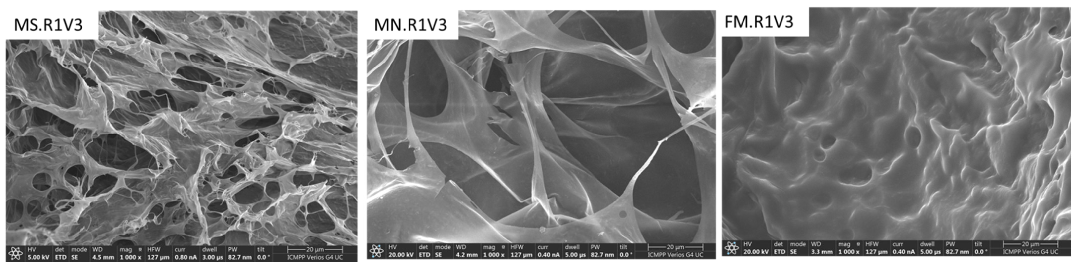 Gels 09 00528 g005 Gels 09 00528 g005