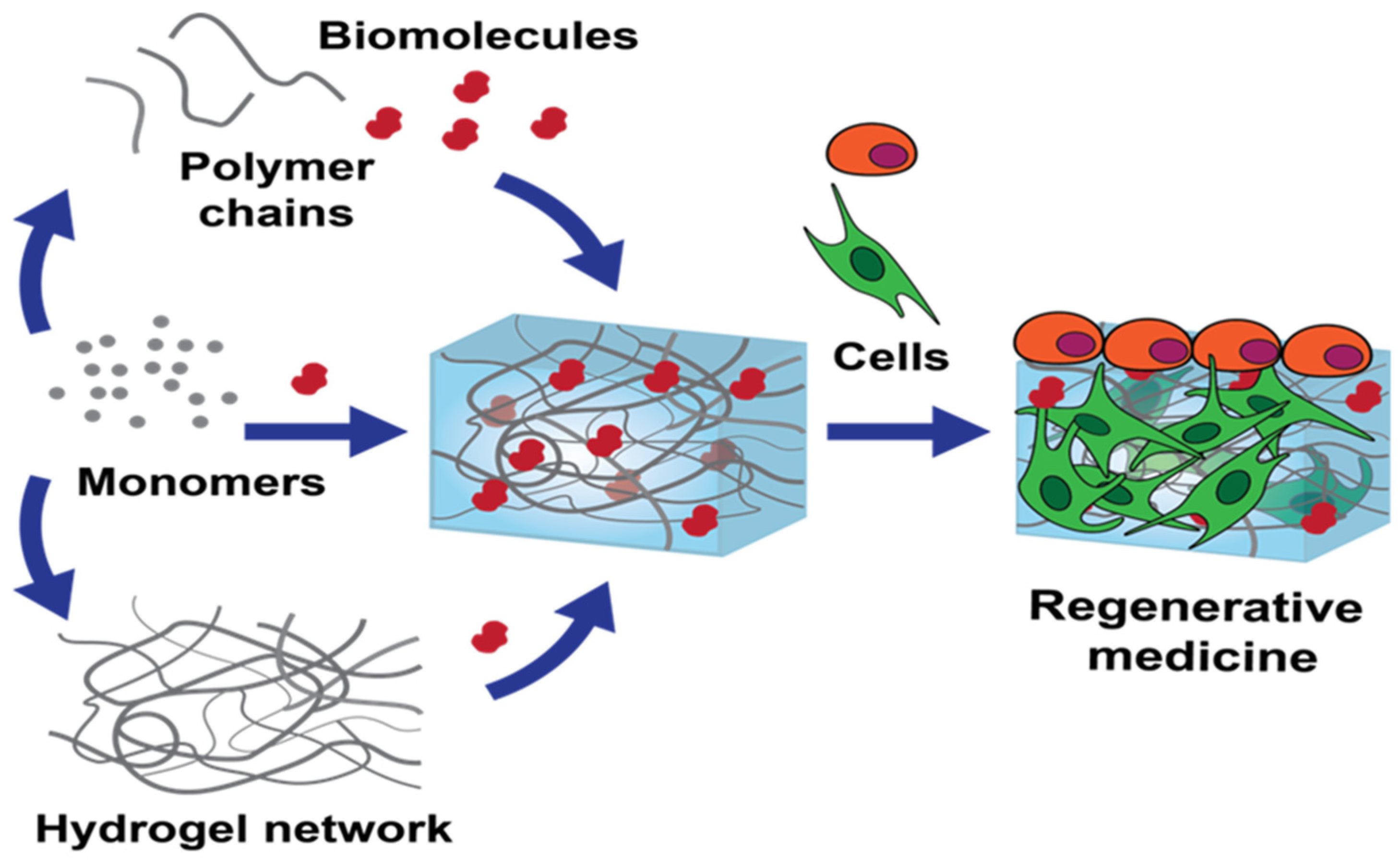 Gels 09 00539 g004 Gels 09 00539 g004