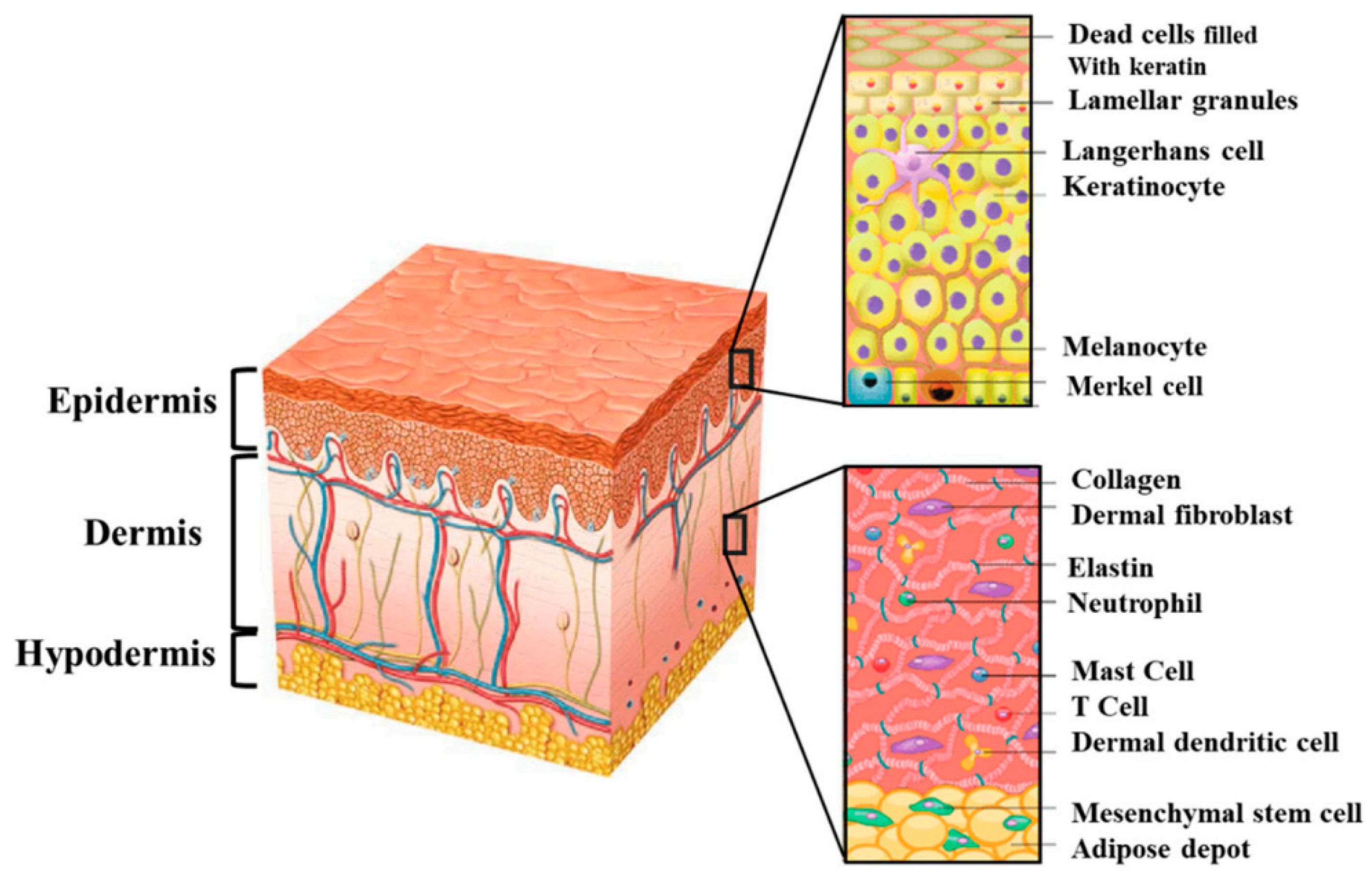 Gels 09 00539 g007 Gels 09 00539 g007