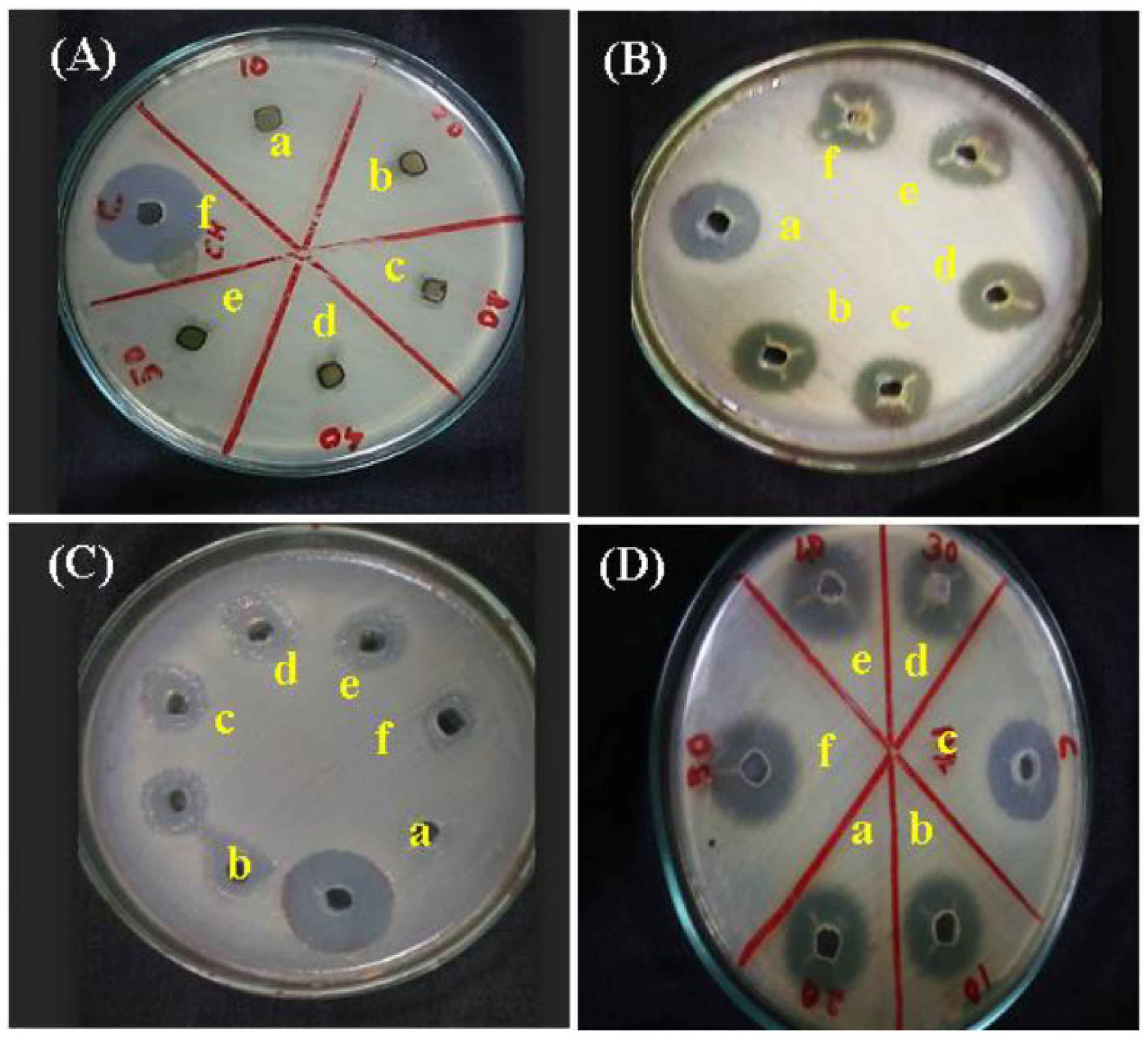 Gels 09 00539 g015 Gels 09 00539 g015