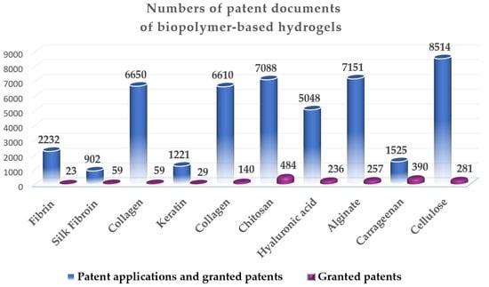 Shapa Health Granted First Patent Validating Its Unique Approach to  Sustainable Behavioral Change