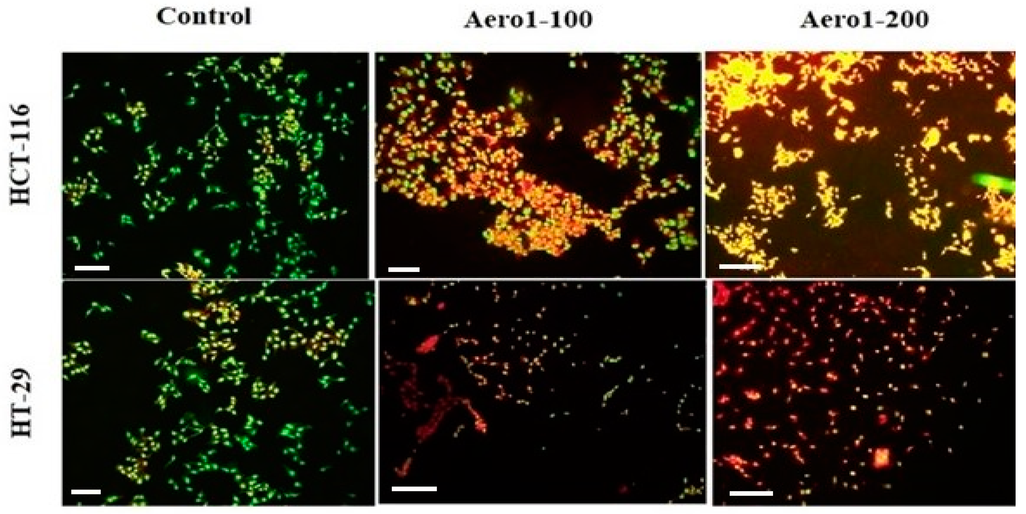 Gels 09 00561 g005 Gels 09 00561 g005