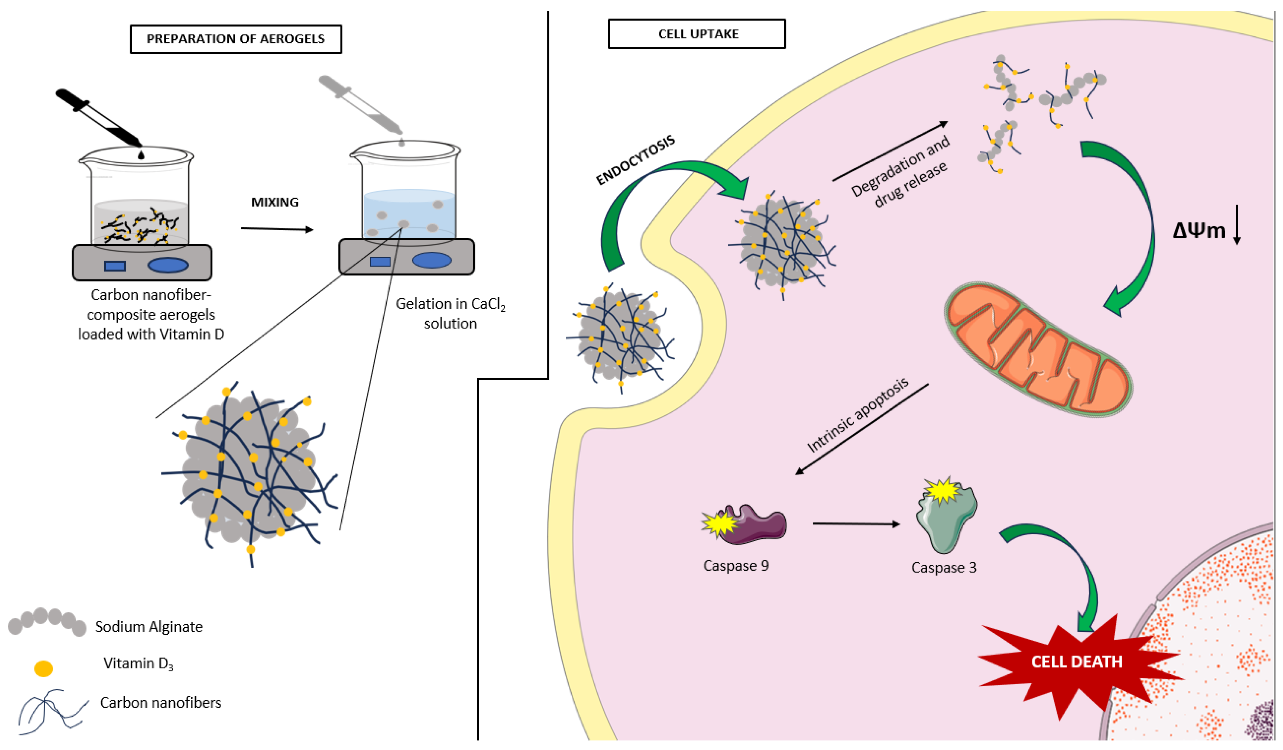 Gels 09 00561 g007 Gels 09 00561 g007