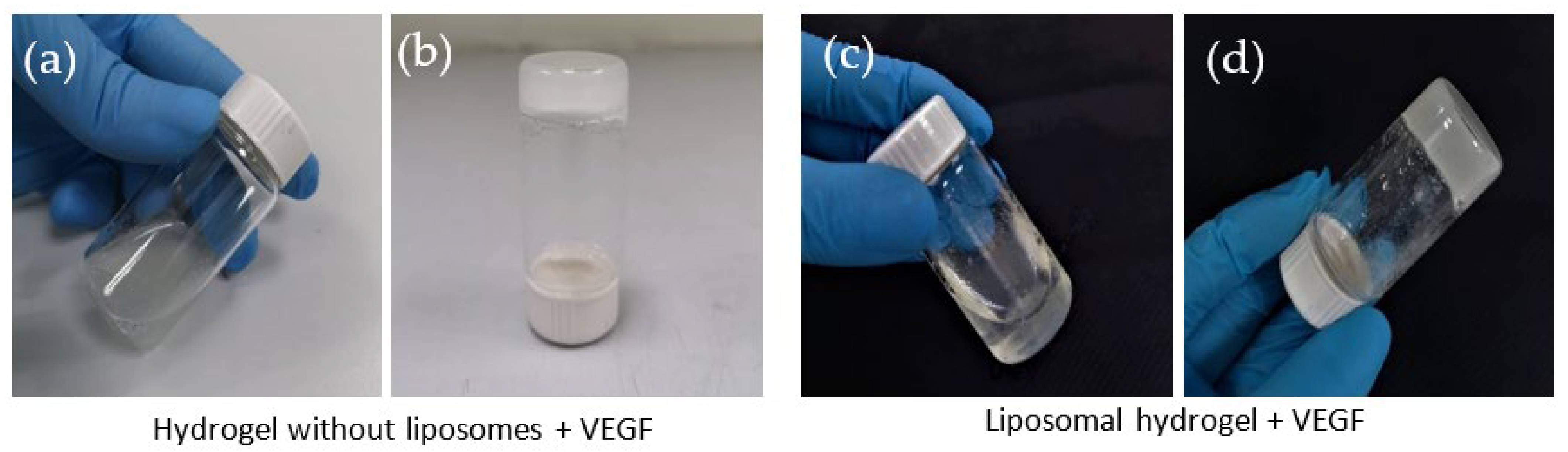 Gels 09 00562 g002 Gels 09 00562 g002