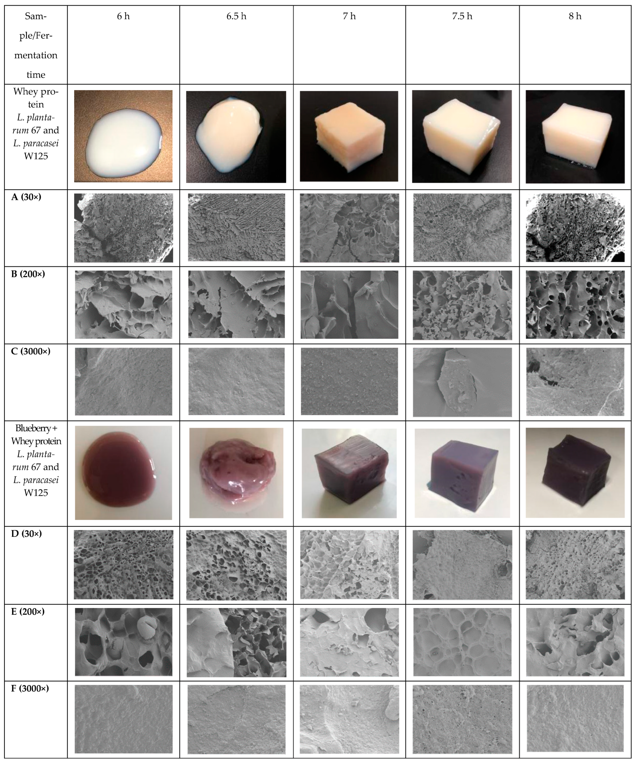 Gels | Free Full-Text | The Characteristics of Whey Protein and