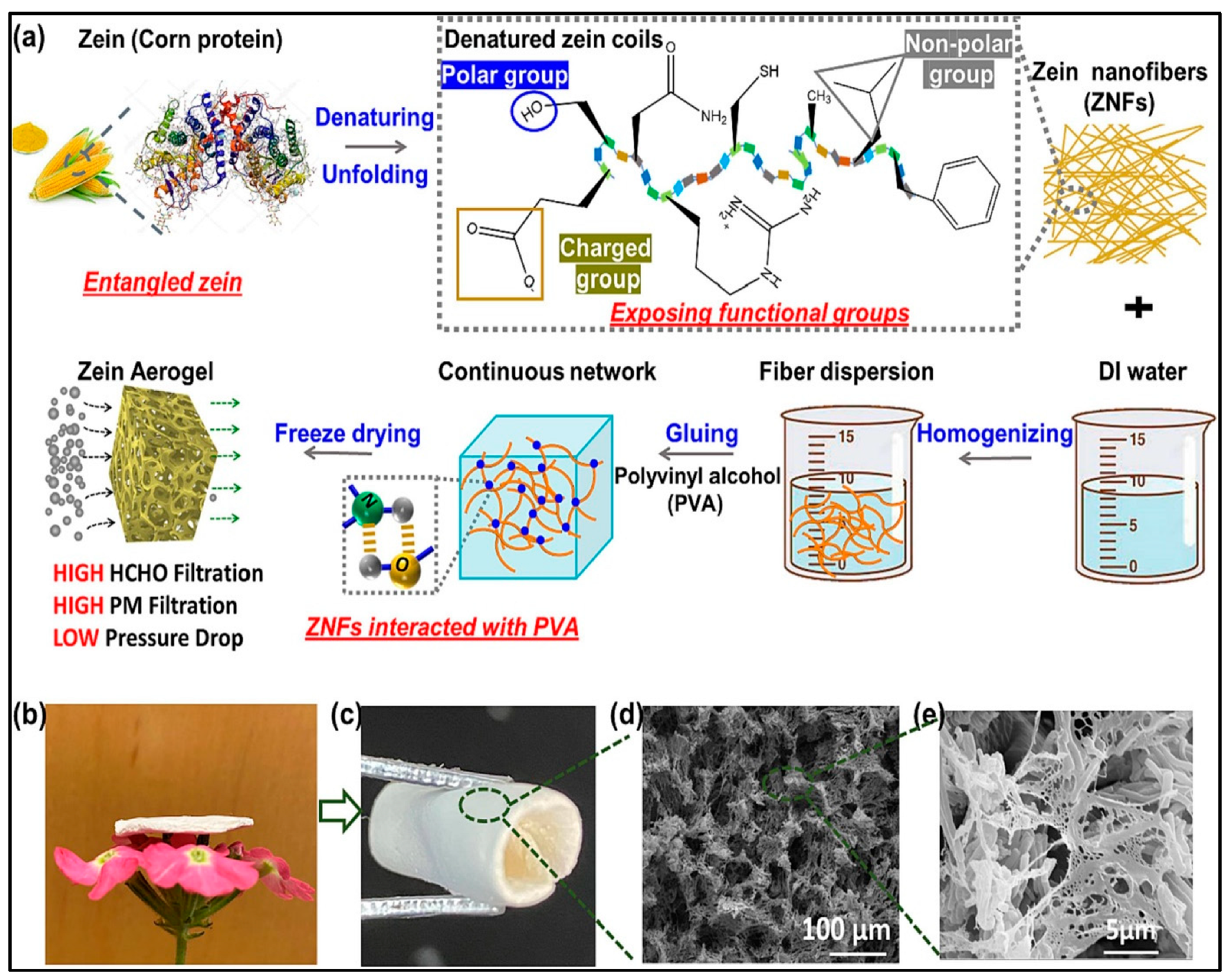 Gels 09 00575 g006 Gels 09 00575 g006