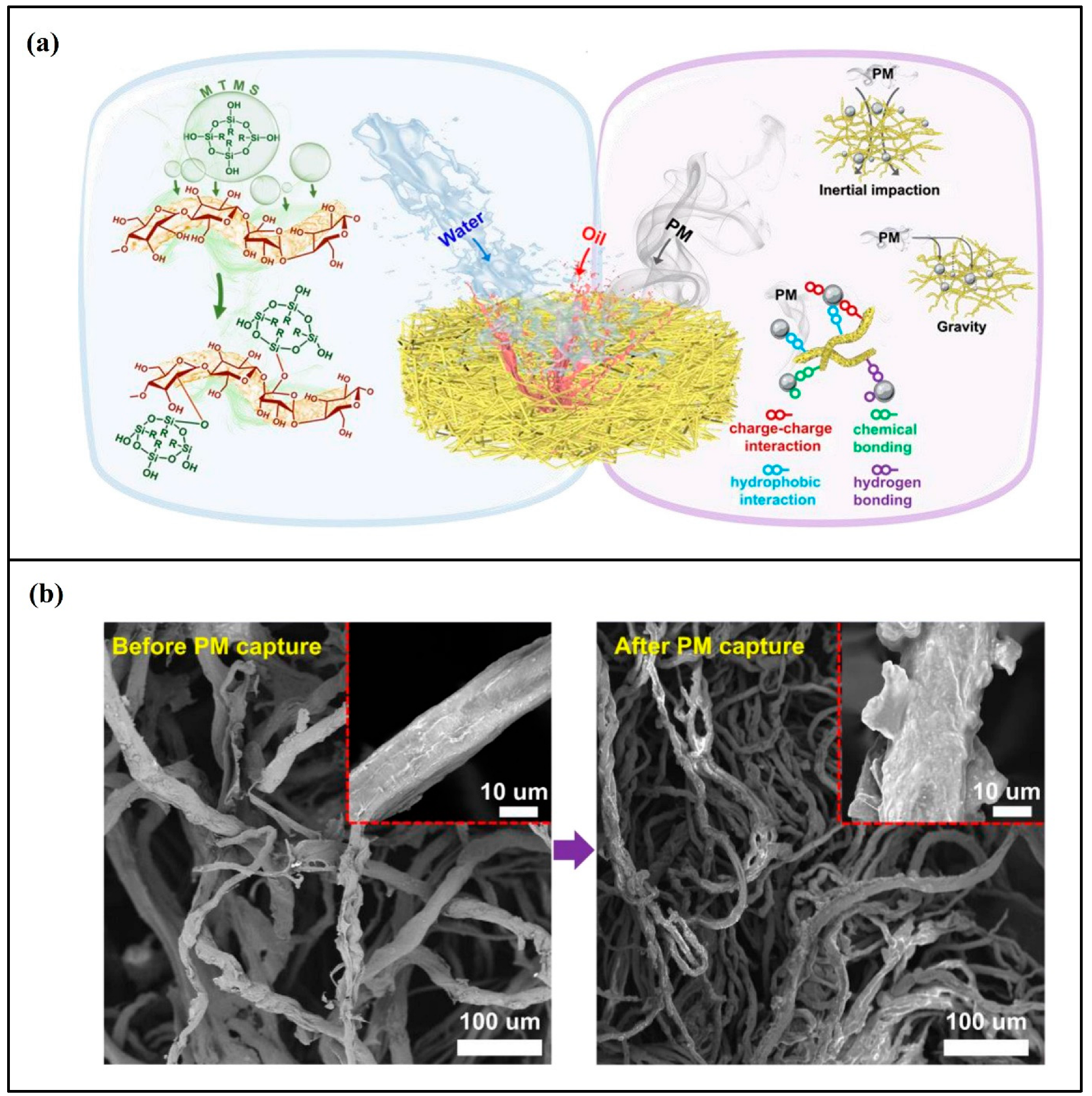 Gels 09 00575 g007 Gels 09 00575 g007