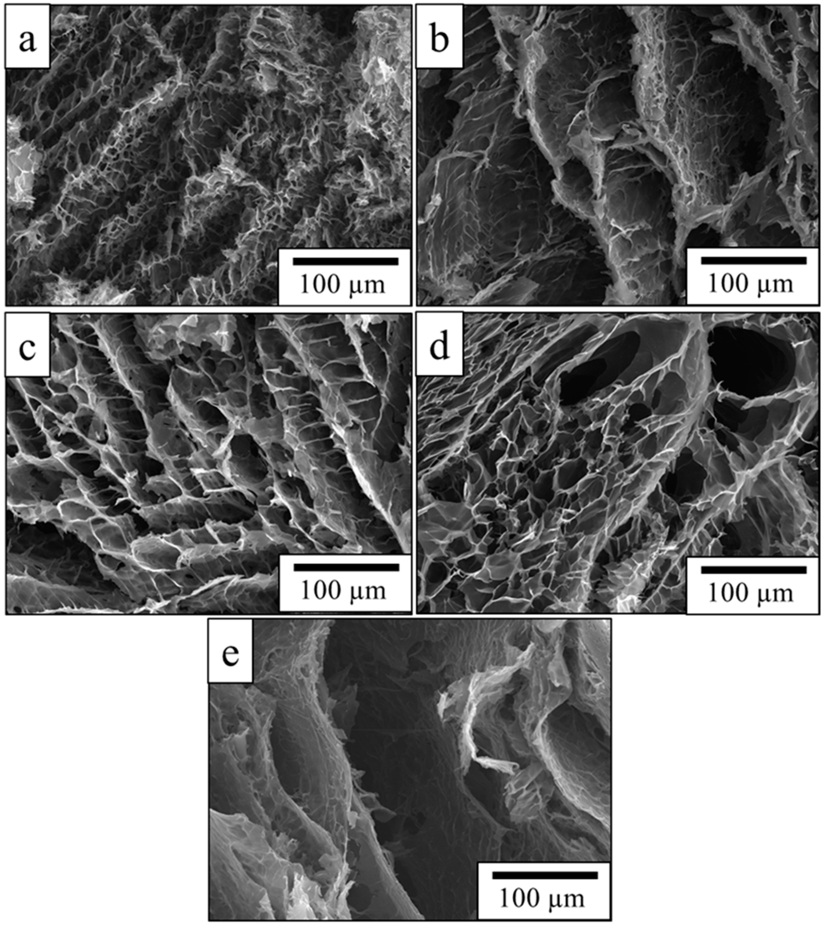 Gels 09 00582 g002 Gels 09 00582 g002