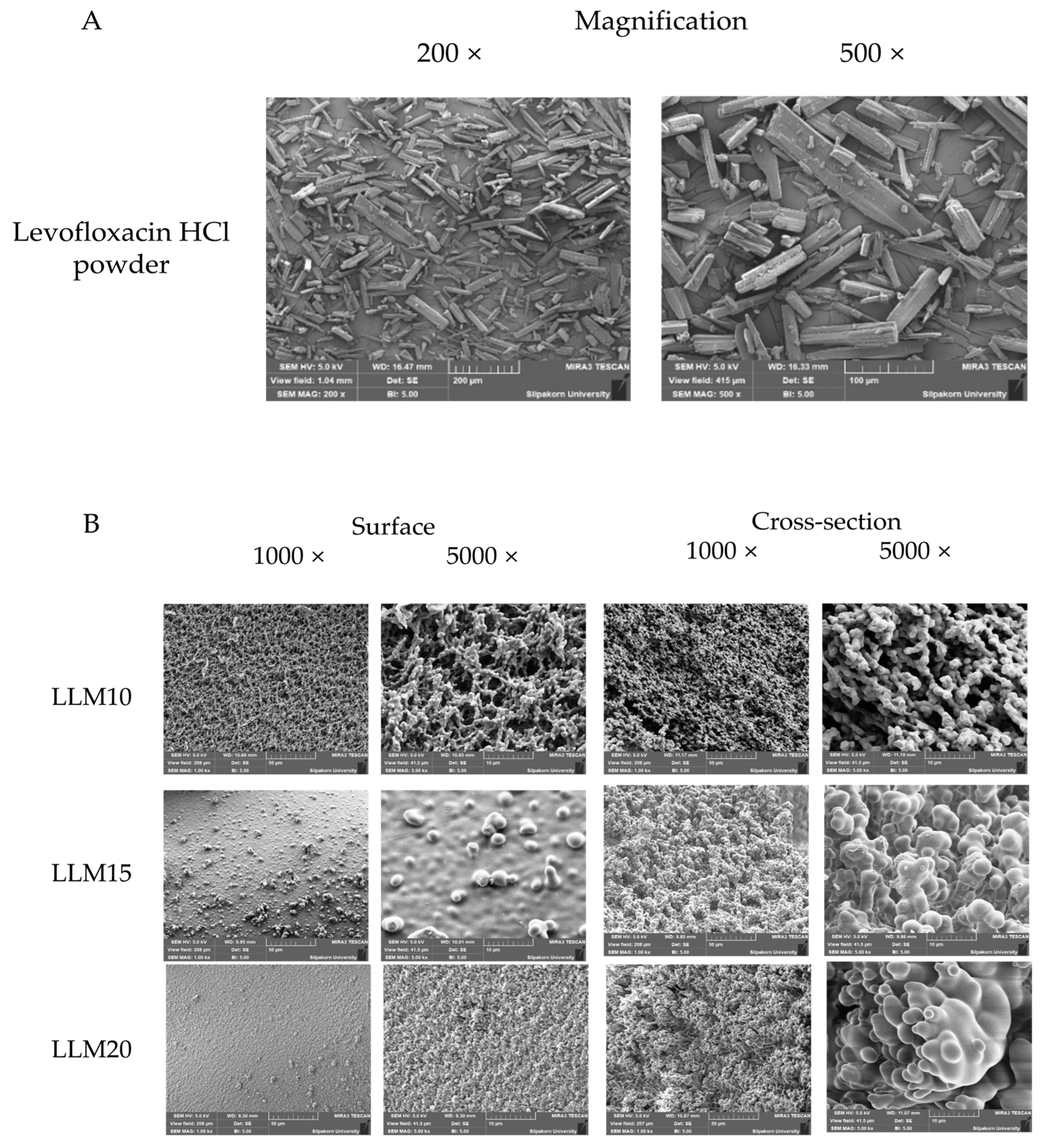 10 microns - L10M