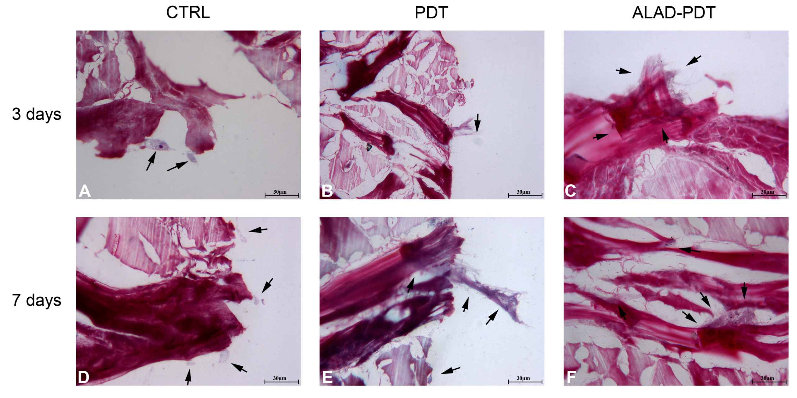 Gels 09 00584 g004 Gels 09 00584 g004