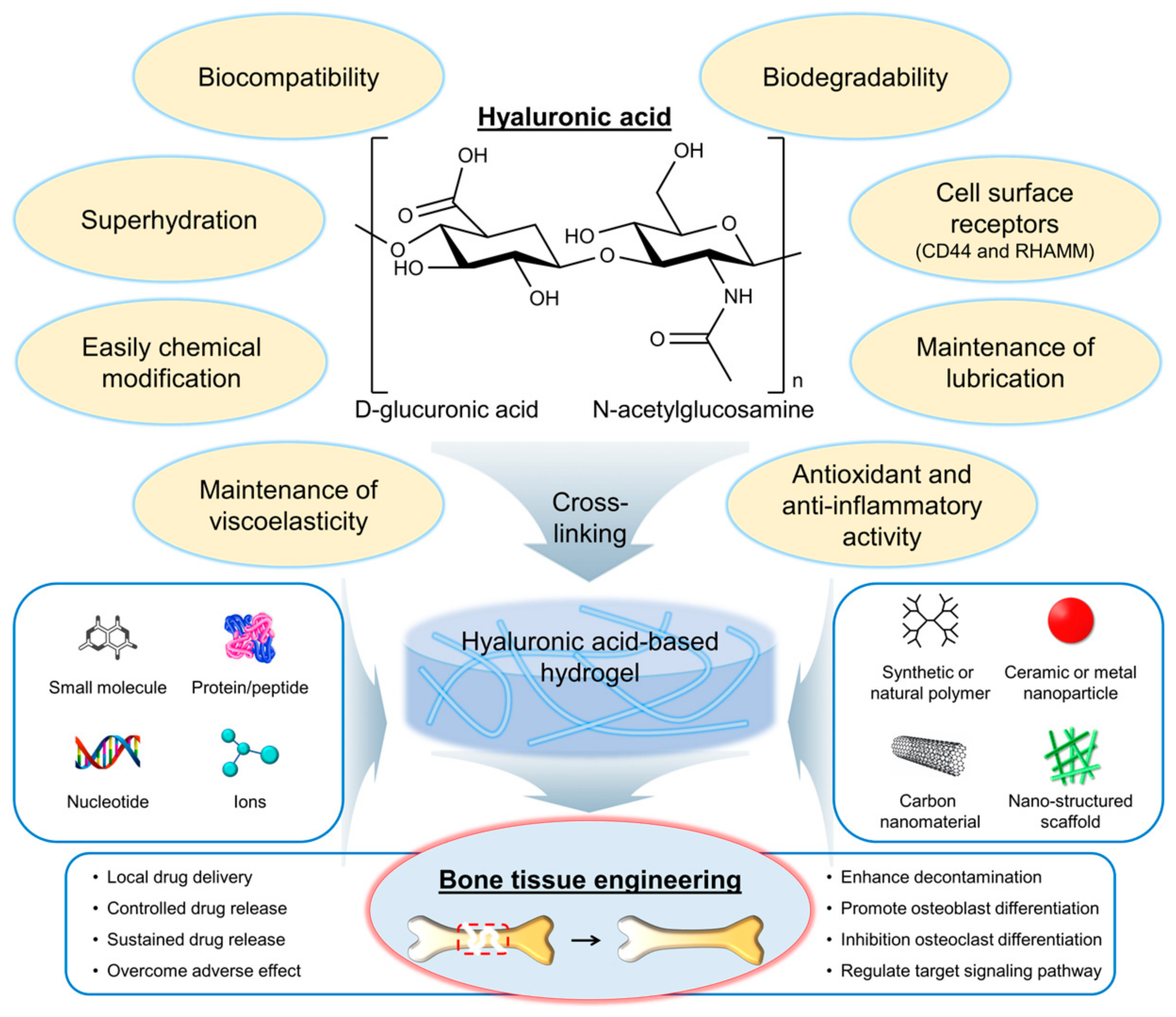 Gels 09 00588 g001 Gels 09 00588 g001