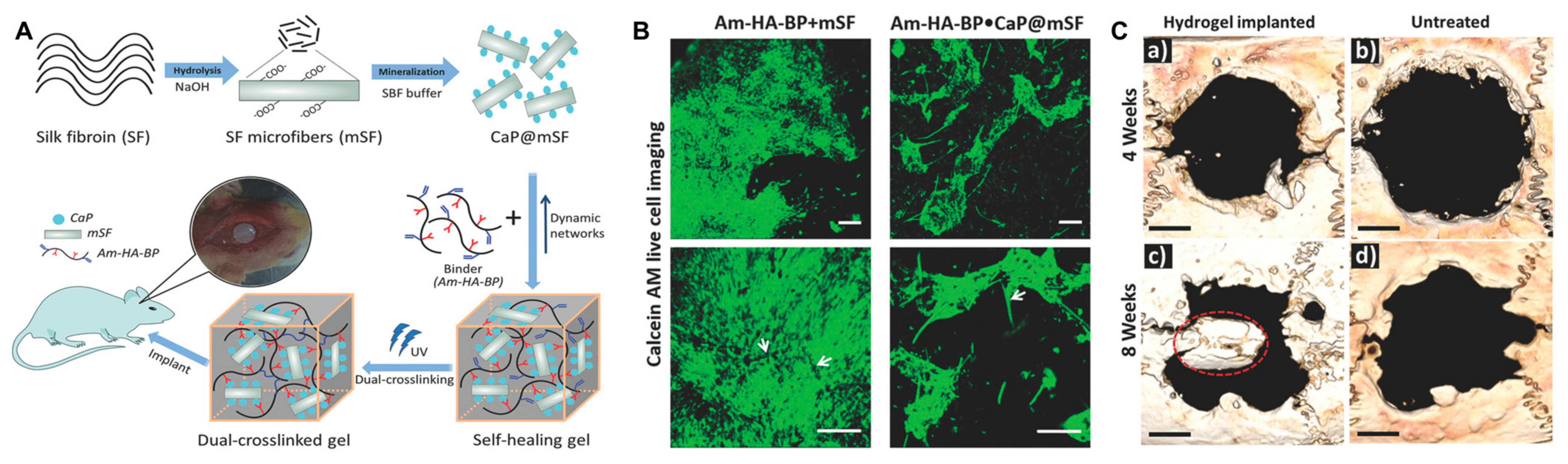 Gels 09 00588 g007 Gels 09 00588 g007