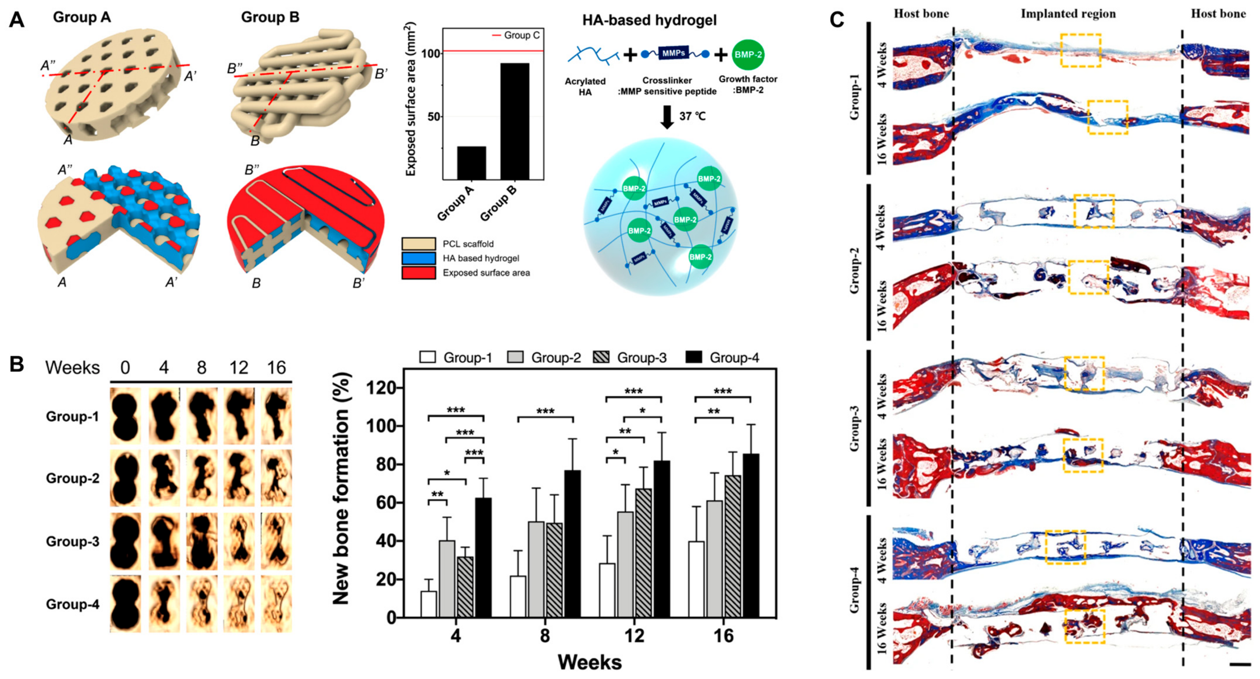 Gels 09 00588 g009 Gels 09 00588 g009