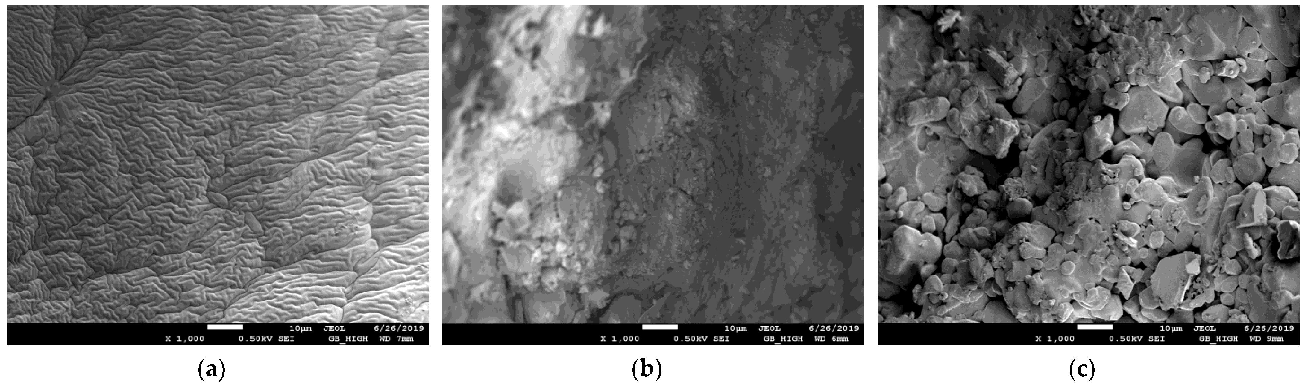 Gels 09 00590 g003 Gels 09 00590 g003