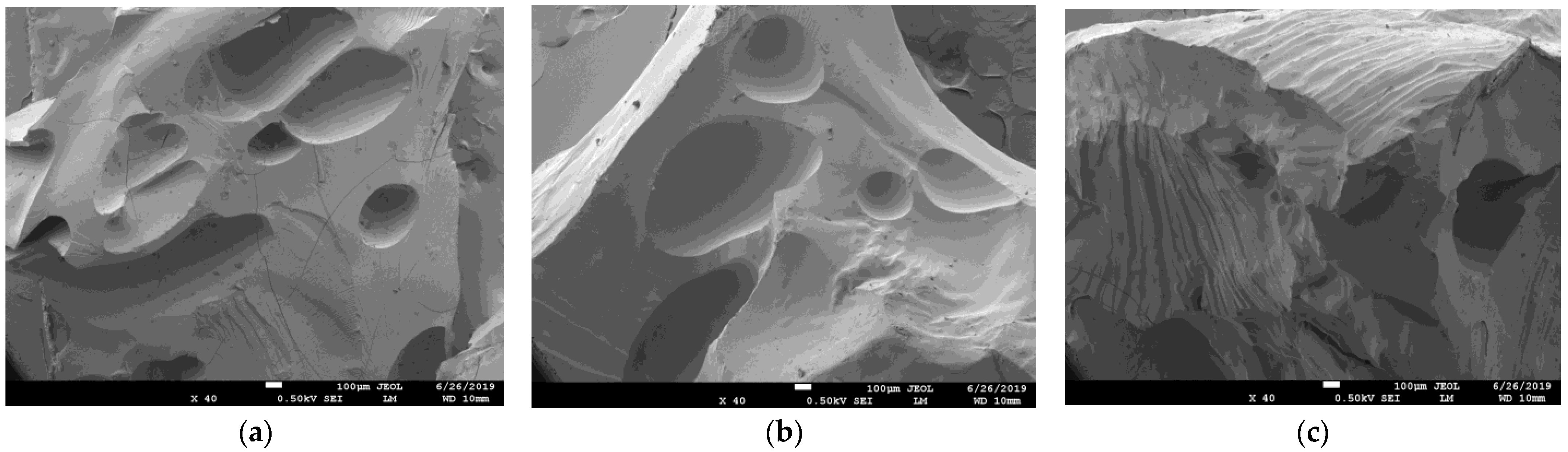 Gels 09 00590 g004 Gels 09 00590 g004