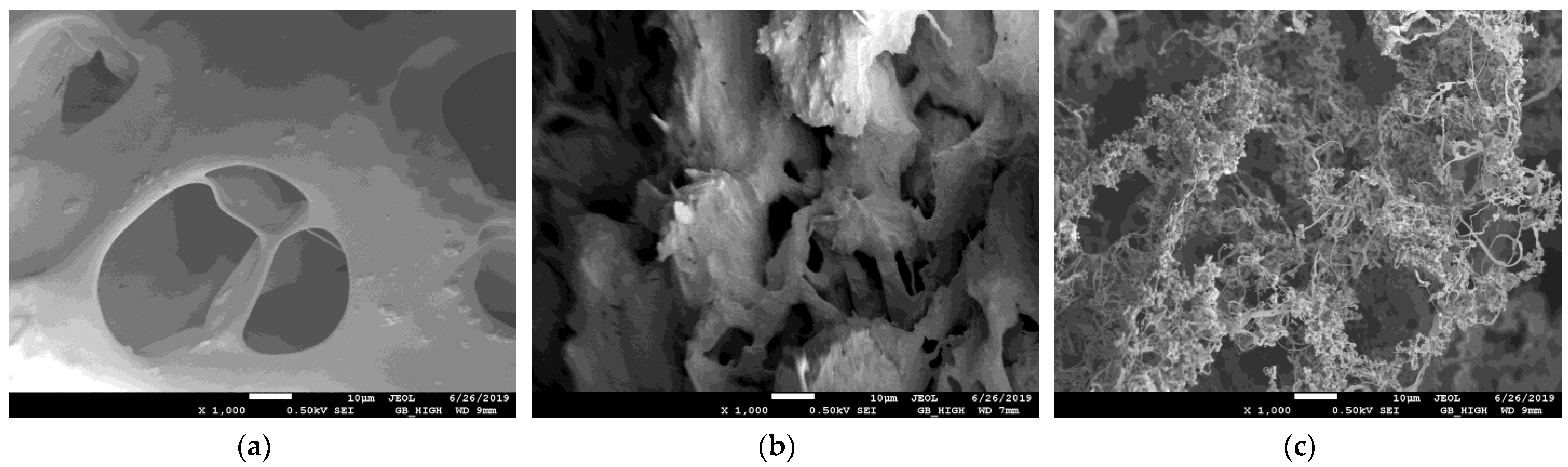 Gels 09 00590 g005 Gels 09 00590 g005