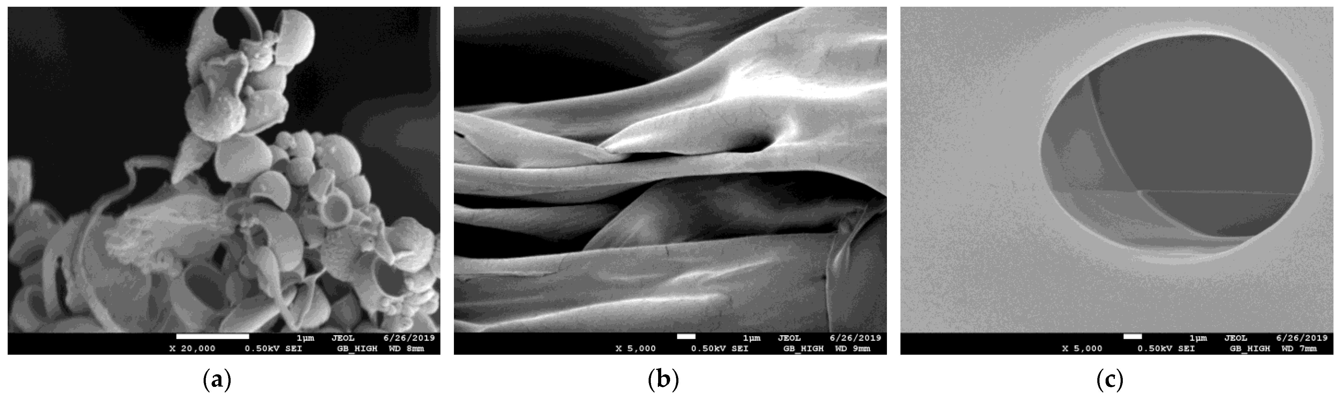 Gels 09 00590 g006 Gels 09 00590 g006