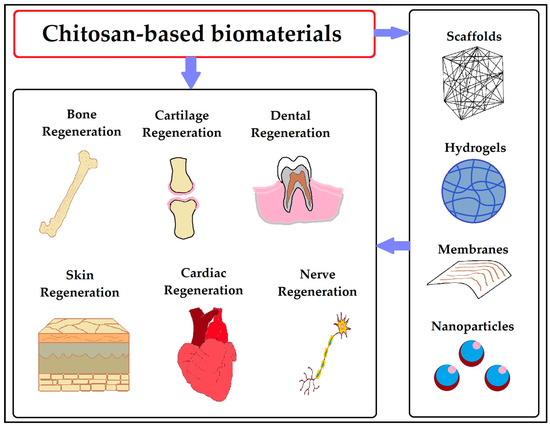 What are the Applications of Energy-Based Aesthetic Devices?, by Vijay  Mishra