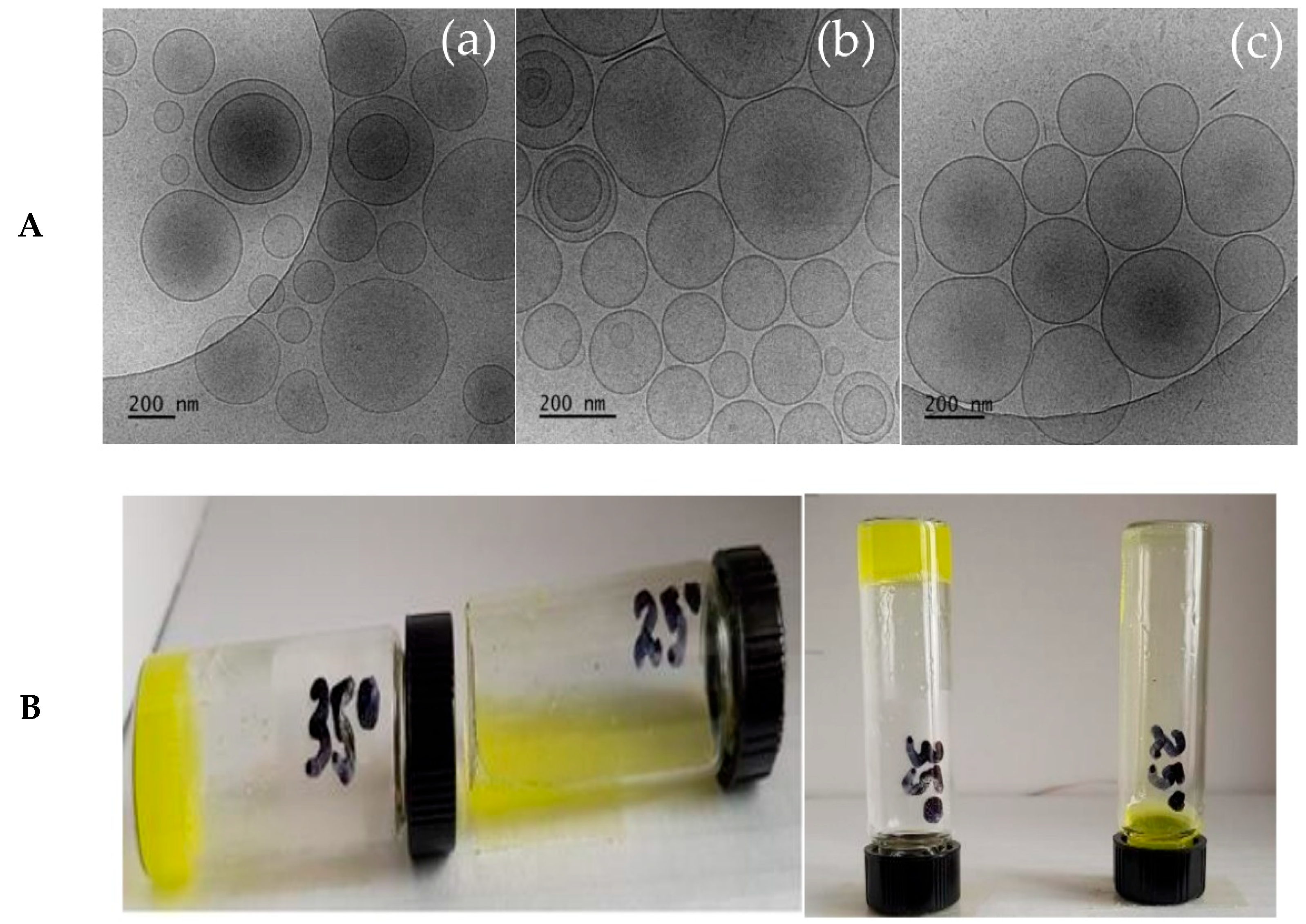 Gels 09 00596 g001a Gels 09 00596 g001a