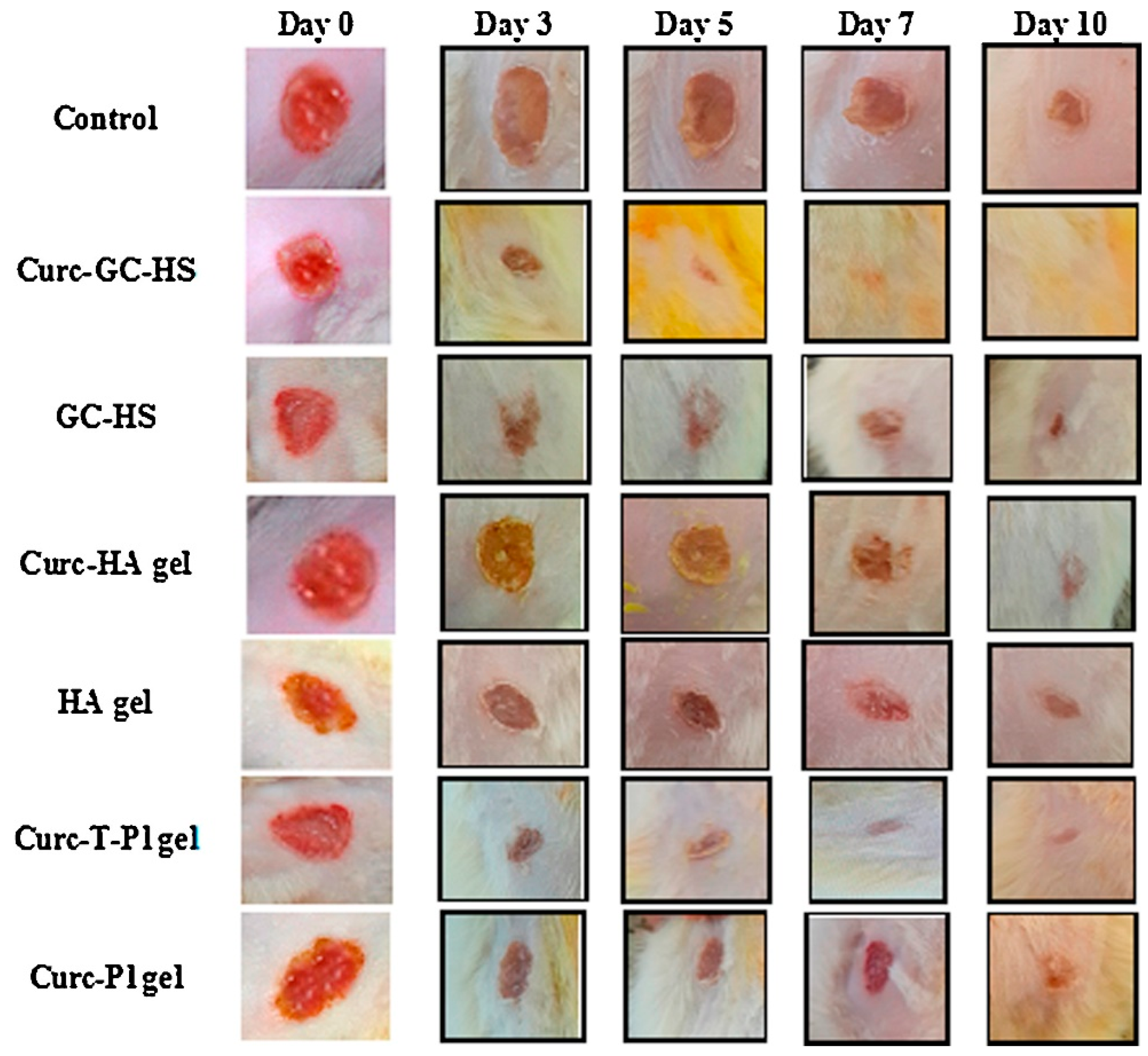 Gels 09 00596 g003 Gels 09 00596 g003