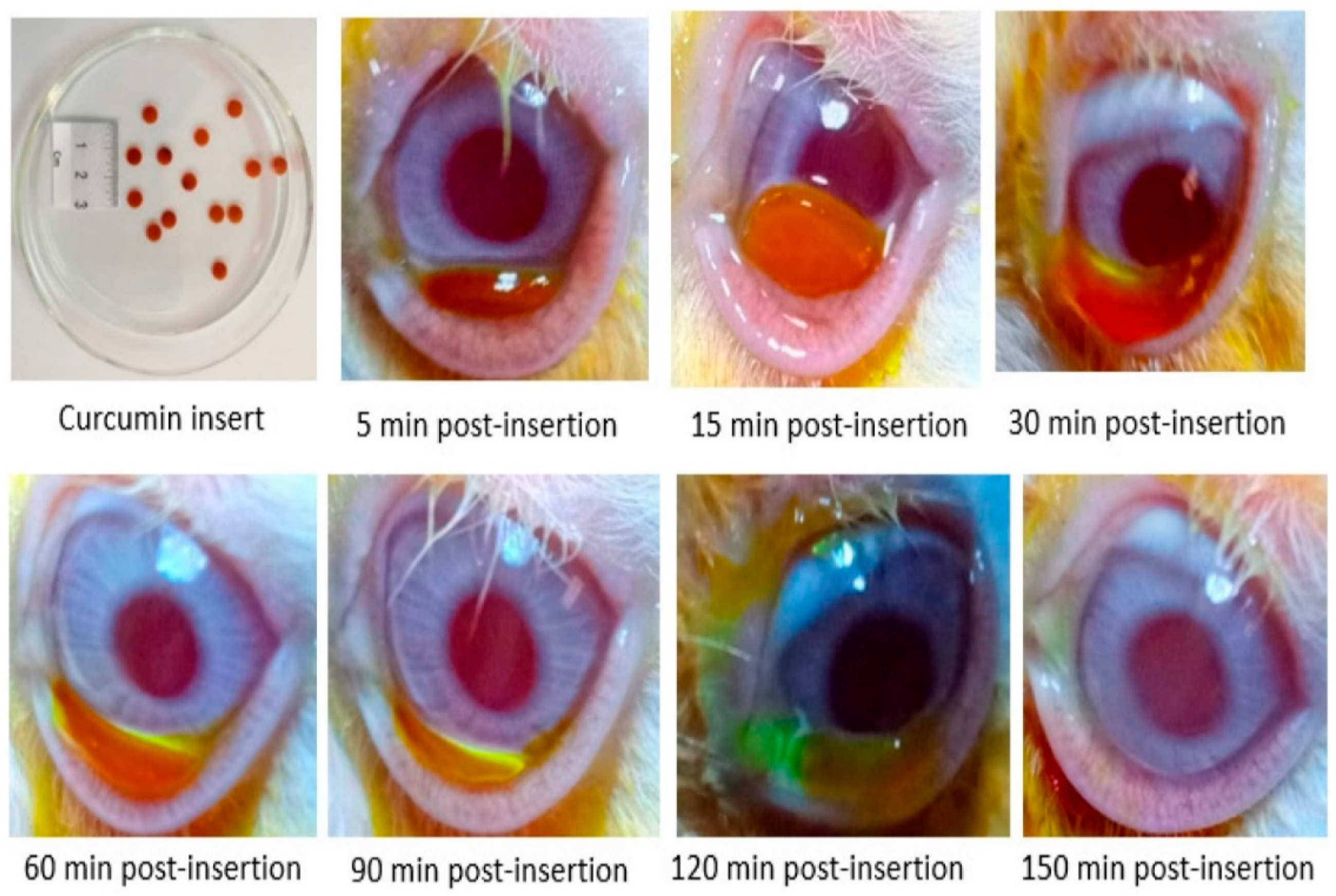 Gels 09 00596 g004 Gels 09 00596 g004